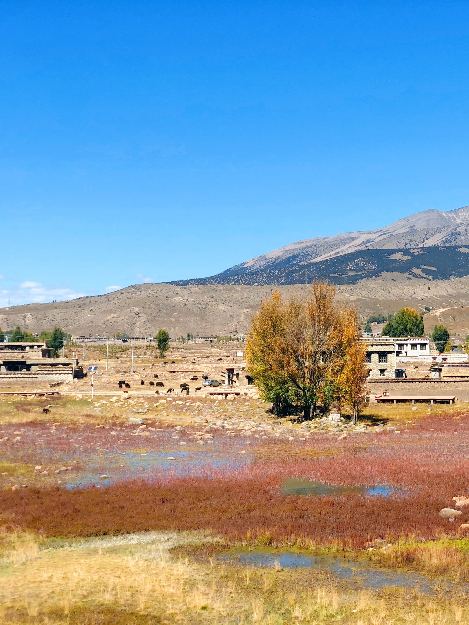 红草地旅行图片 1
