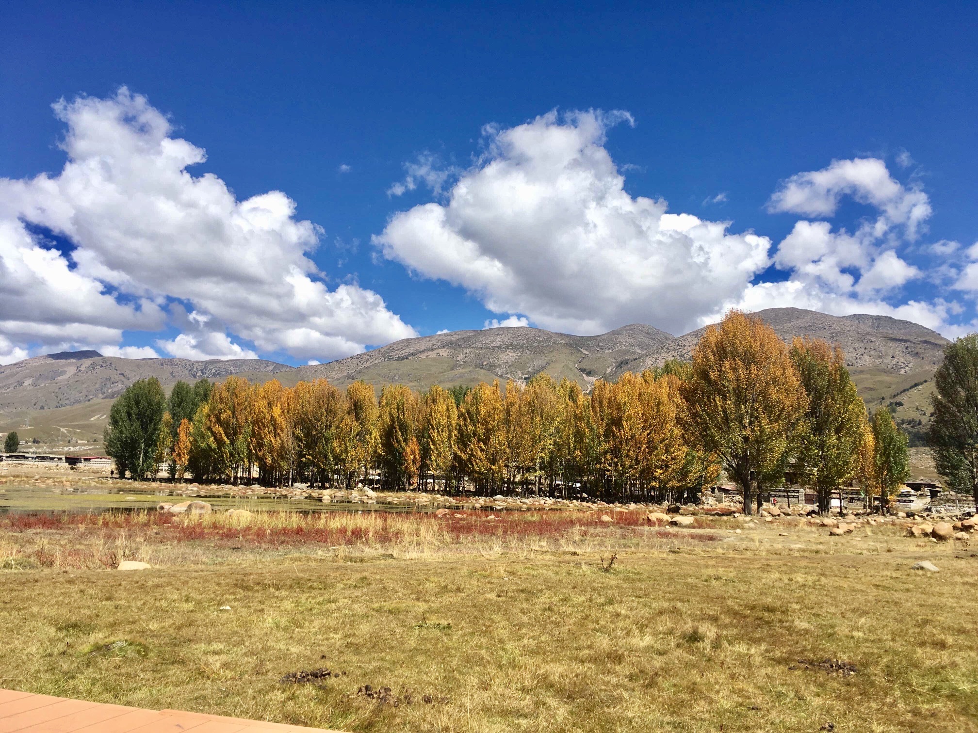红草地旅行图片 1