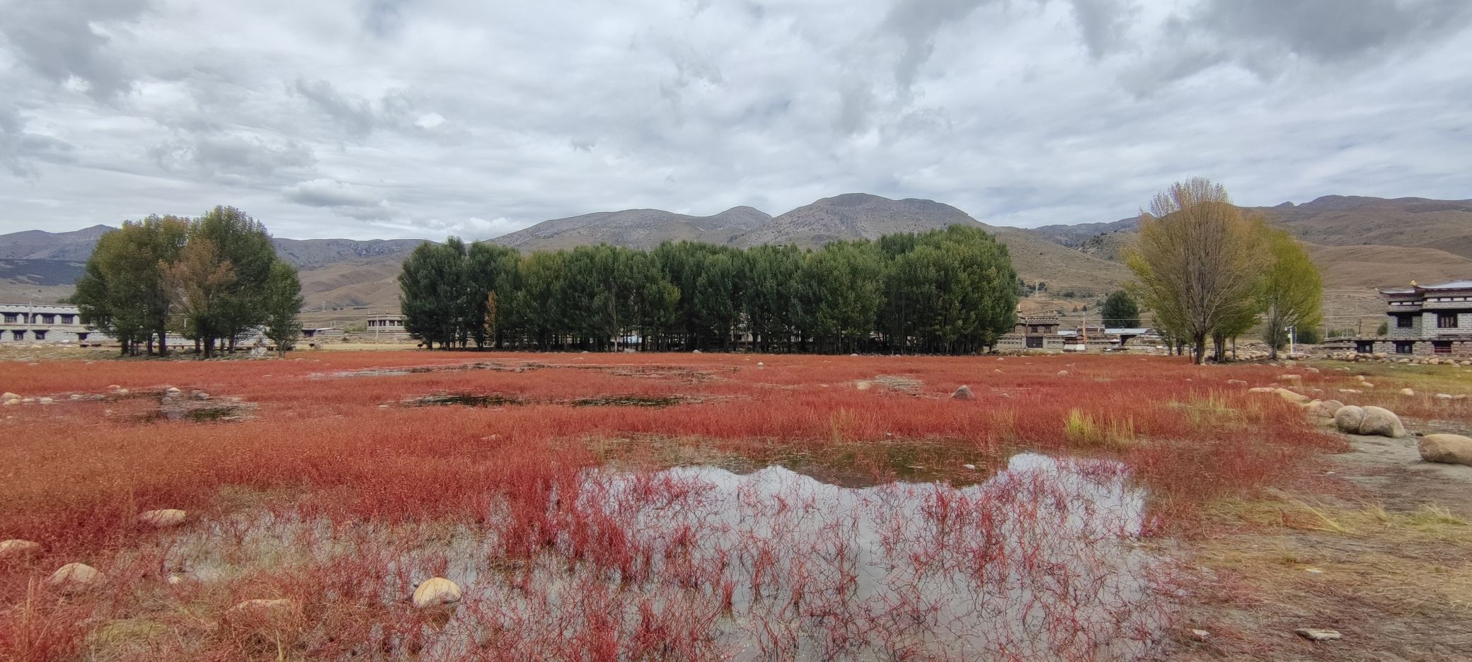 红草地旅行图片 1