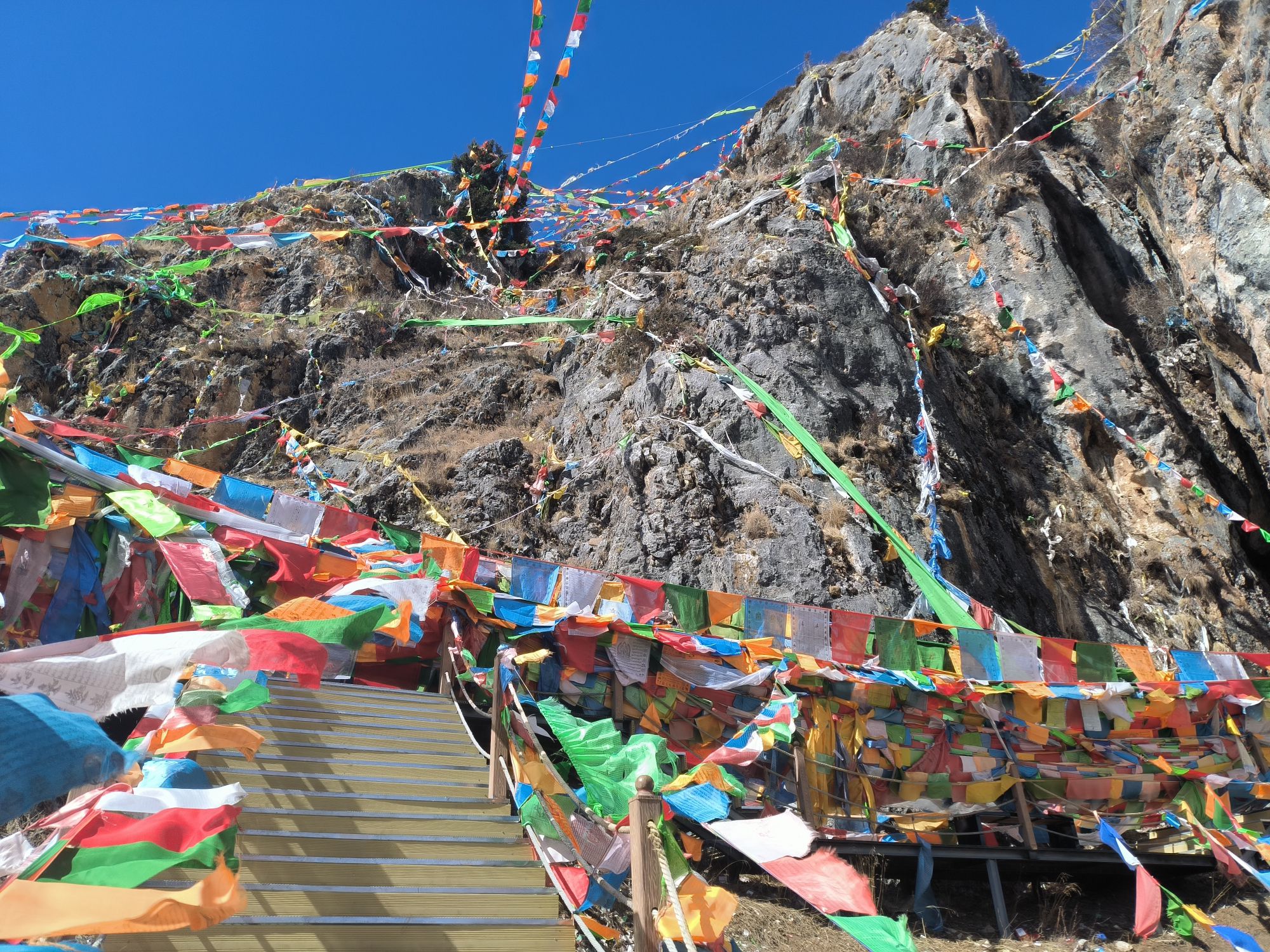扎嘎圣山景区旅行图片 3