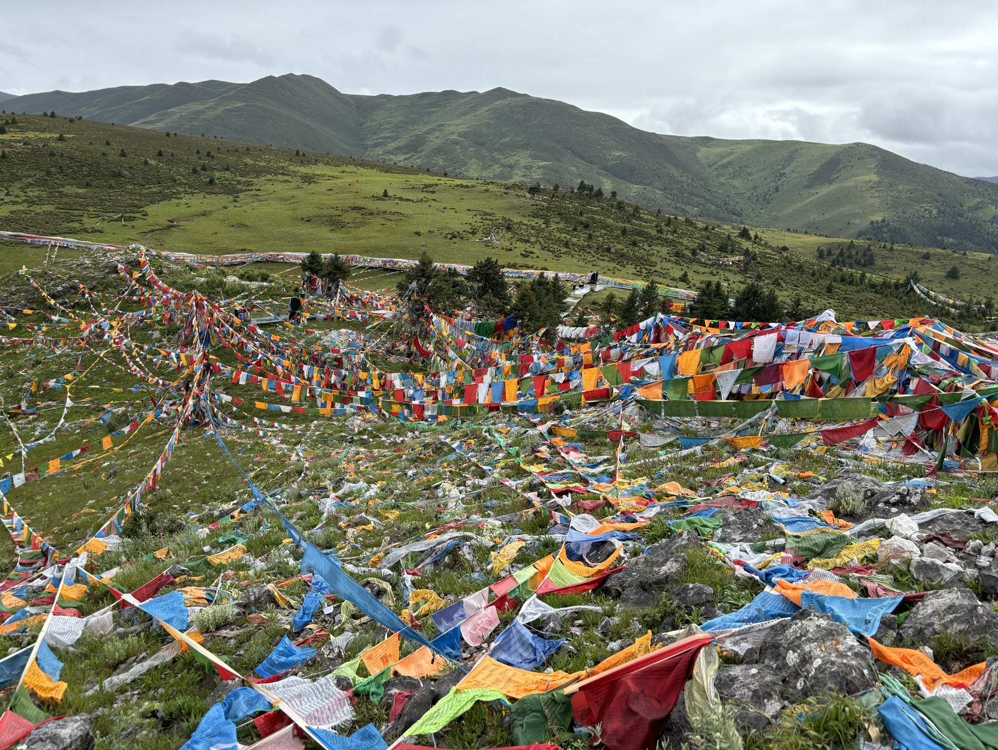 扎嘎圣山景区旅行图片 1