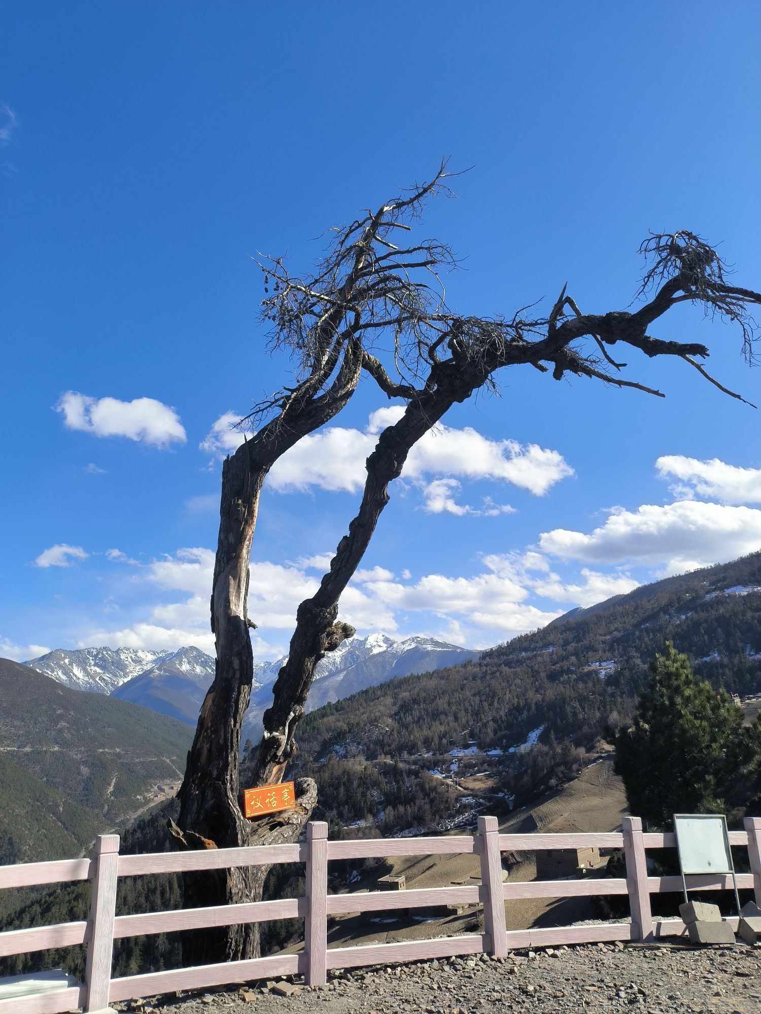 扎嘎圣山景区旅行图片 1