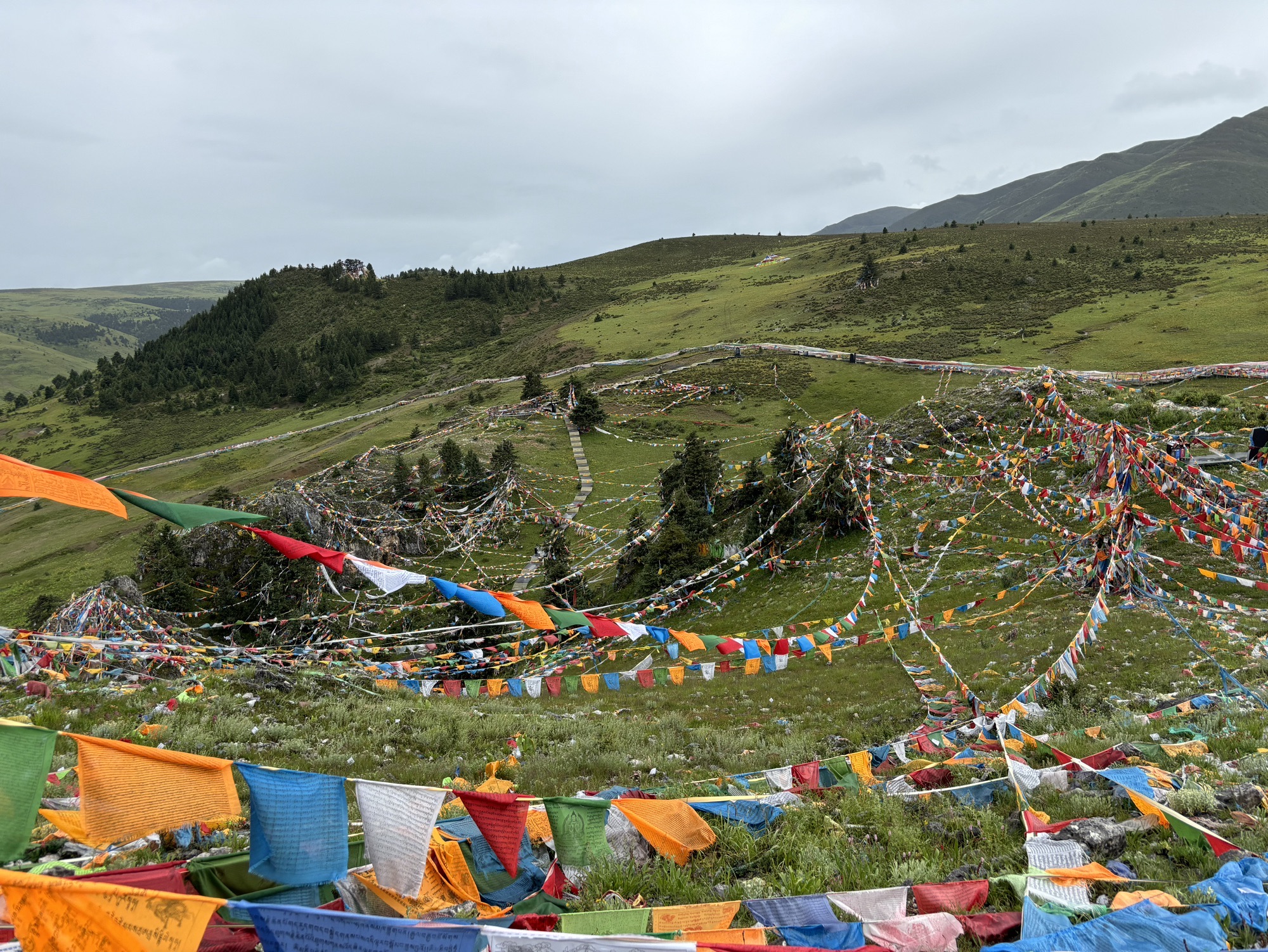 扎嘎圣山景区旅行图片 3