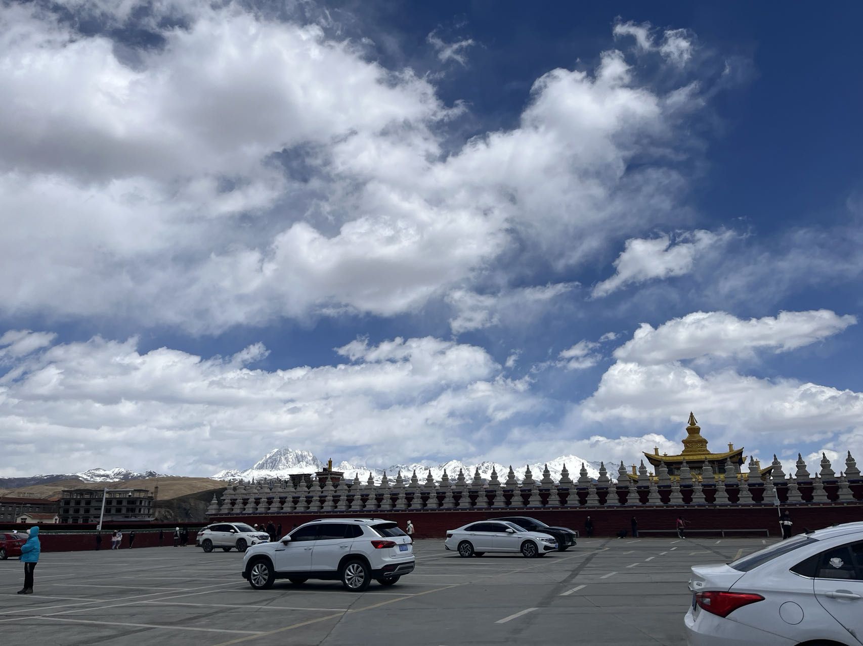 塔公草原旅行图片 2
