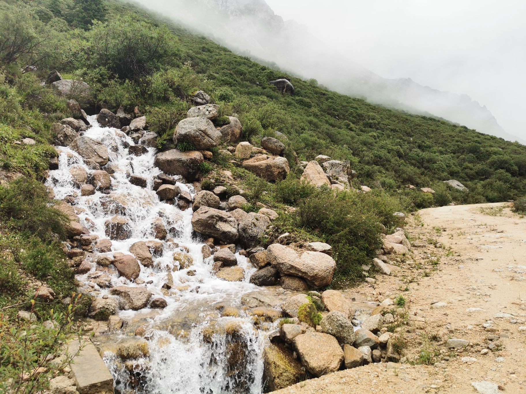 雀儿山旅行图片 3