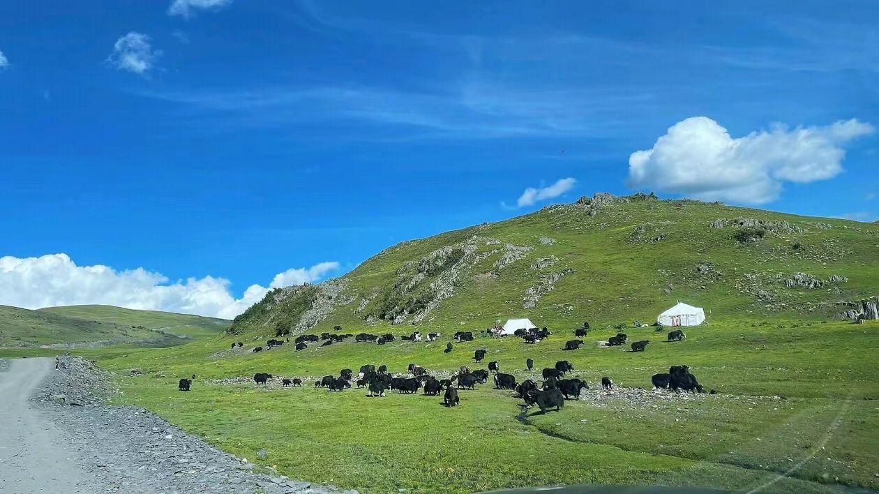 甘孜州新都桥旅行图片 3