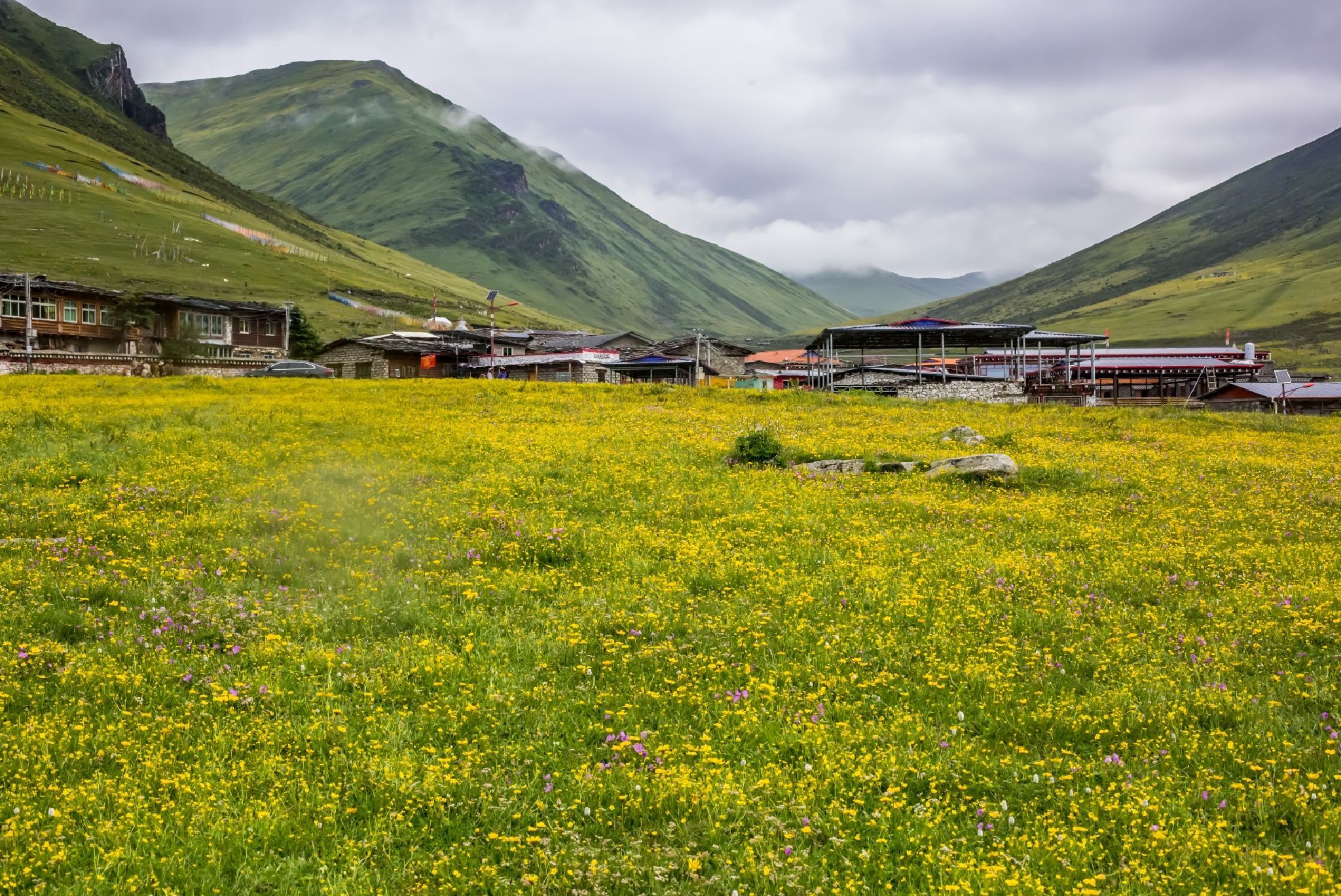 玉科大草原旅行图片 1