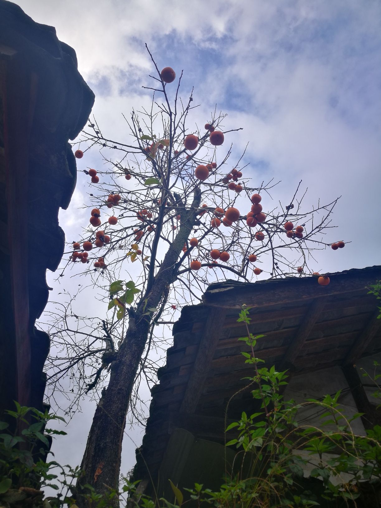 磨西古镇旅行图片 3