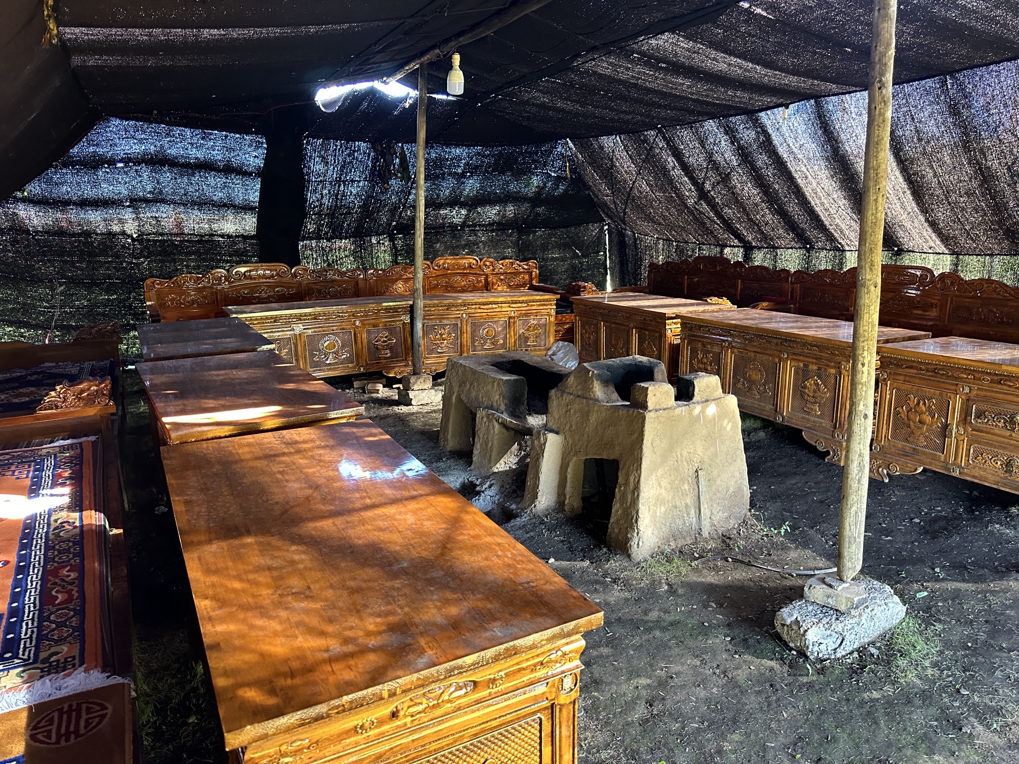 金马草原旅行图片 2