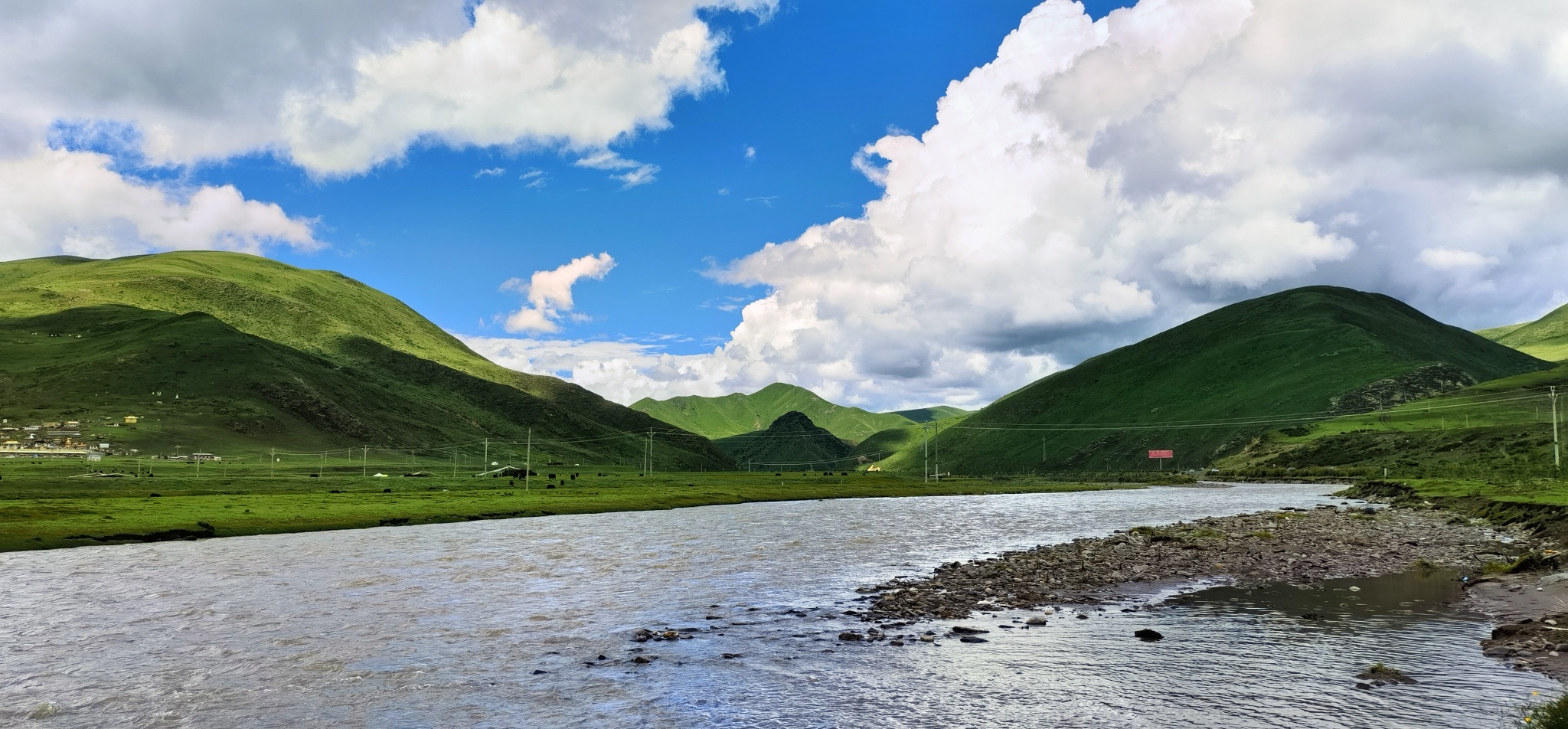 金马草原旅行图片 2