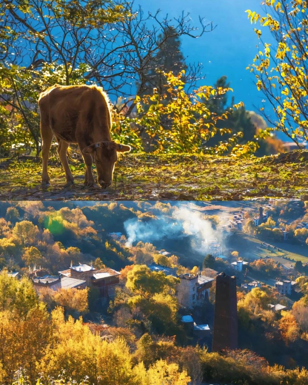 丹巴藏寨旅行图片 3
