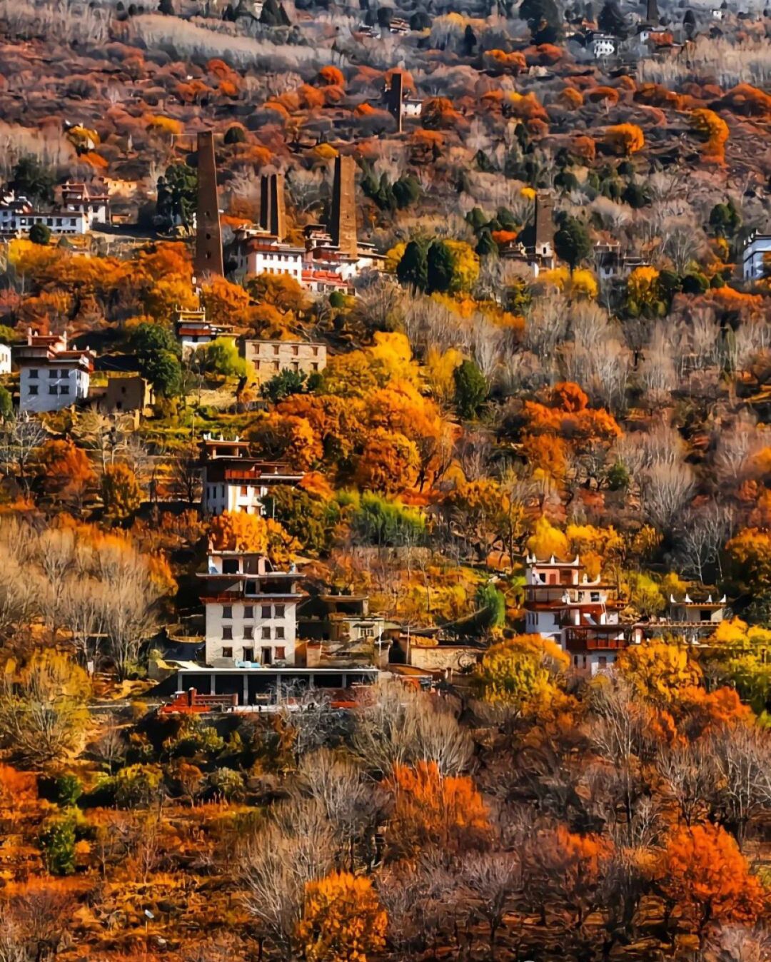 丹巴藏寨旅行图片 1