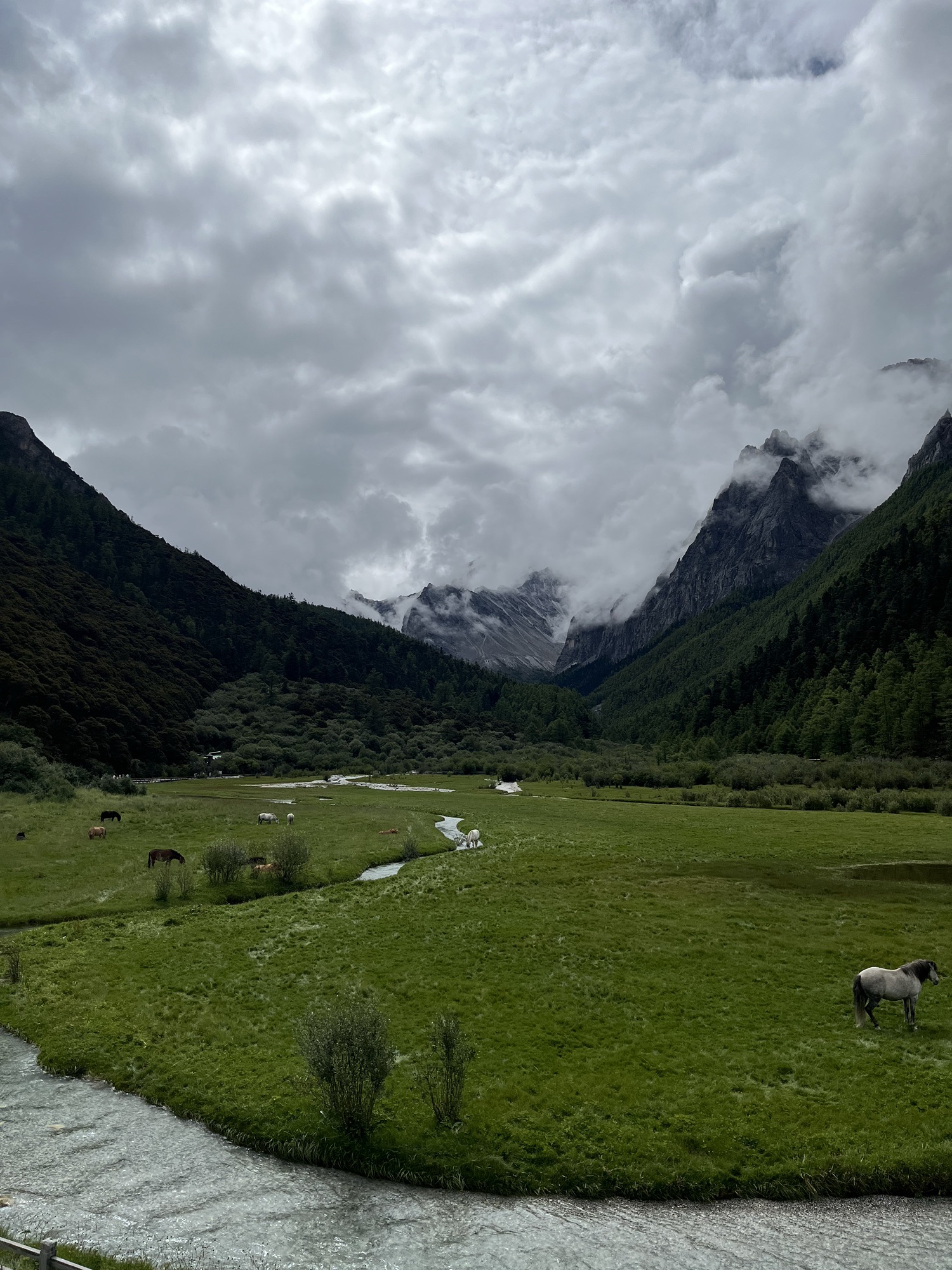 甘孜稻城亚丁景区旅行图片 3