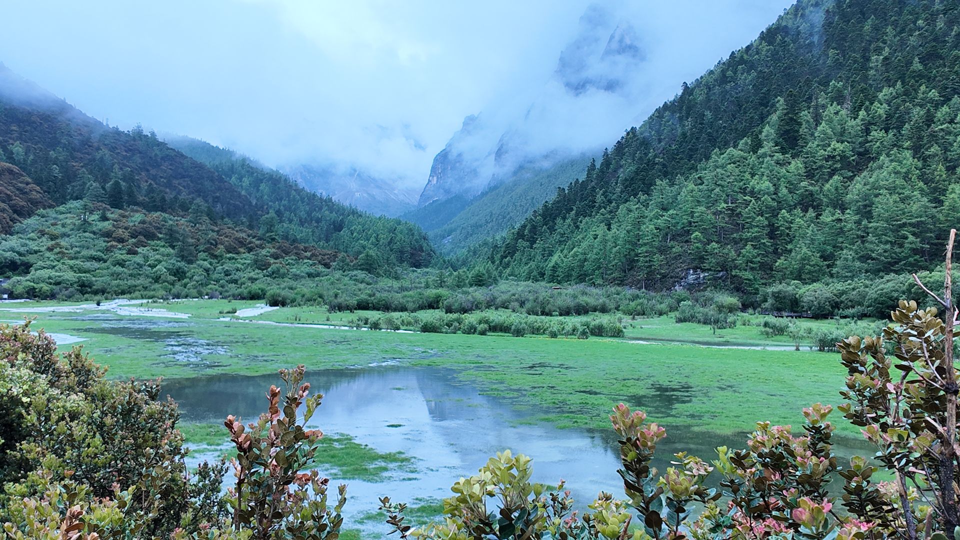 甘孜稻城亚丁景区旅行图片 2