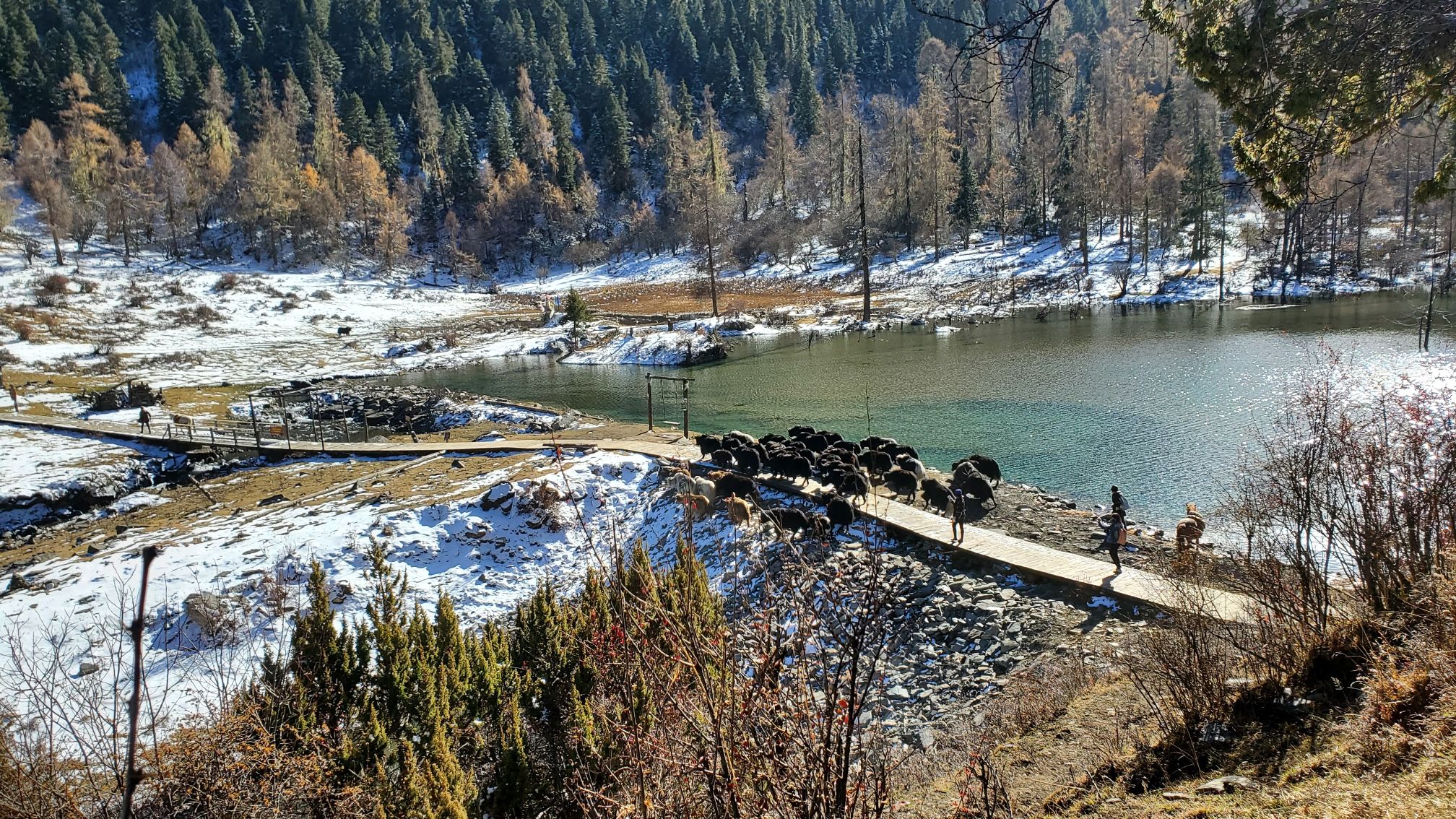 玛嘉沟旅行图片 2