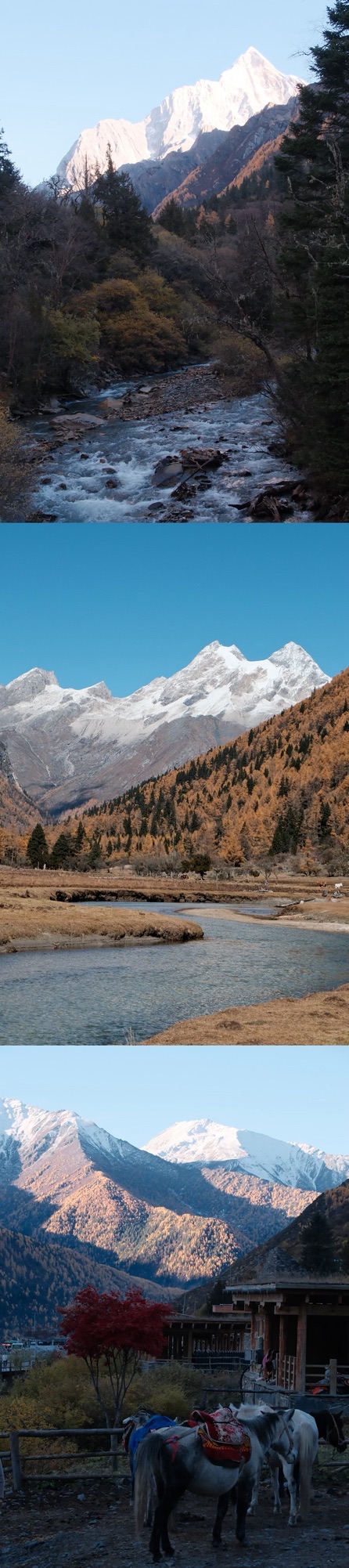 四姑娘山景区旅行图片 1
