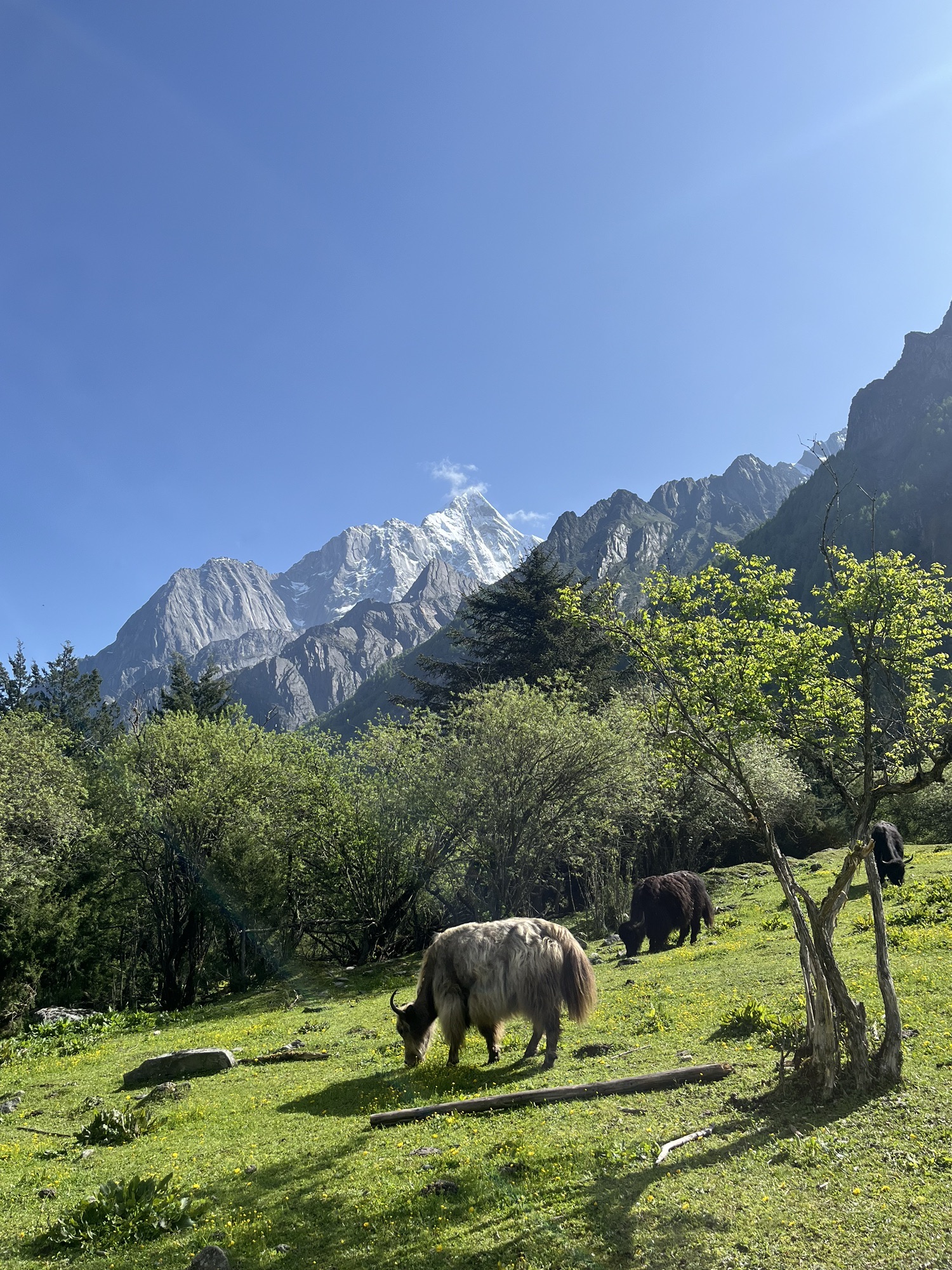 四姑娘山景区旅行图片 2