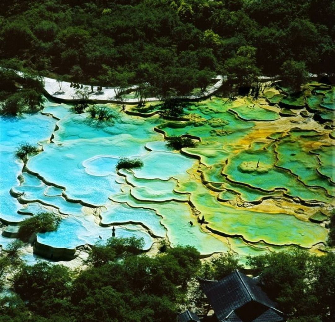 四川省黄龙寺自然保护区旅行图片 3