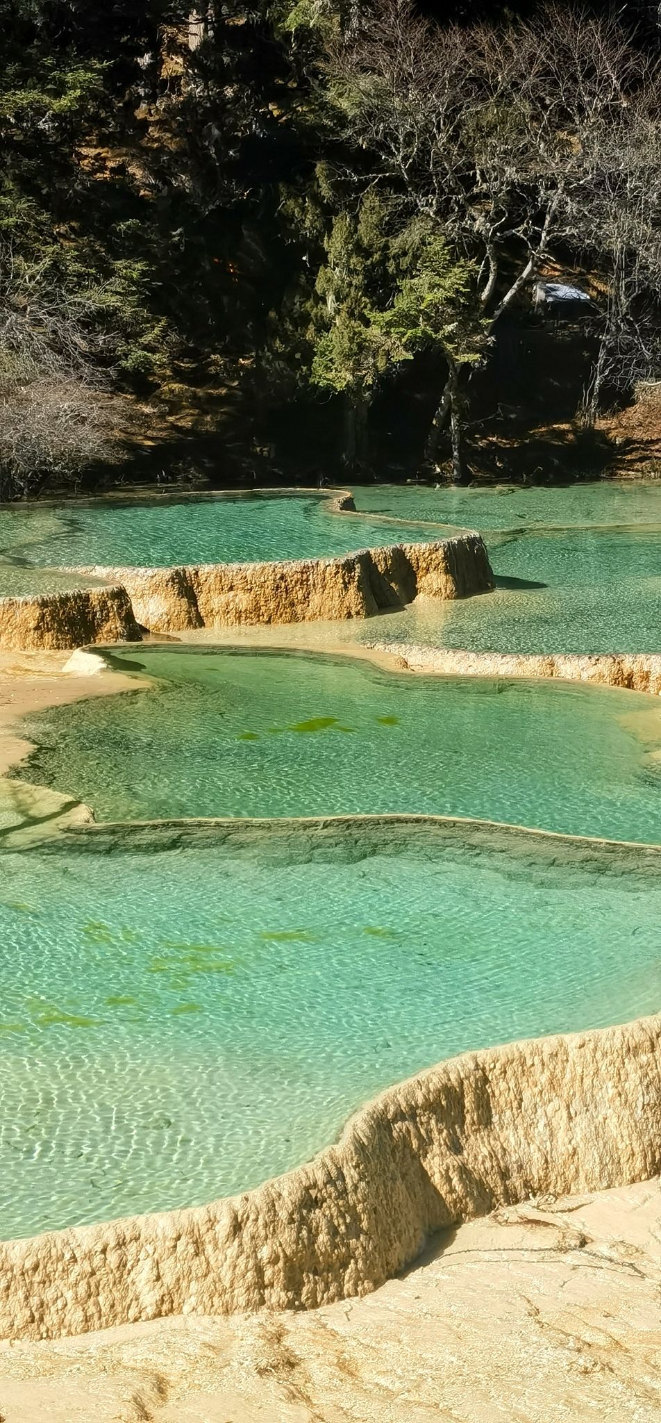 黄龙国家级风景名胜区旅行图片 1