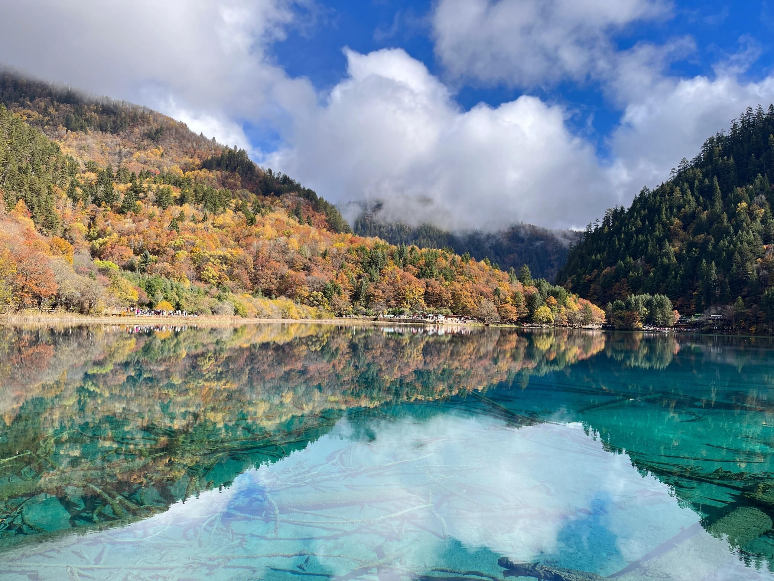 九寨沟-芦苇海 - 阿坝藏族羌族自治州九寨沟县 - 风景名胜;风景名胜相关;旅游景点 | 地址营业时间 | 高德地图