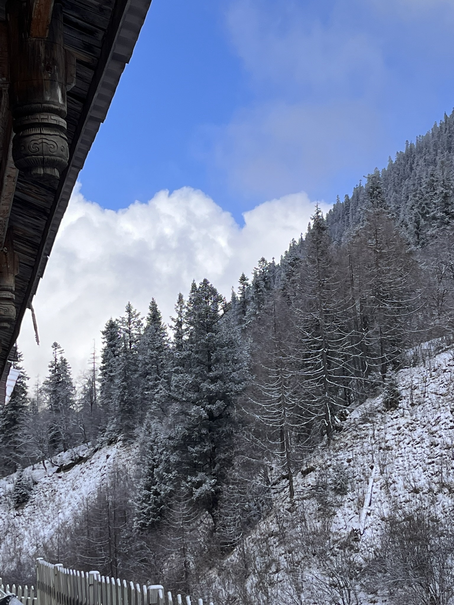 达古冰川风景名胜区旅行图片 1