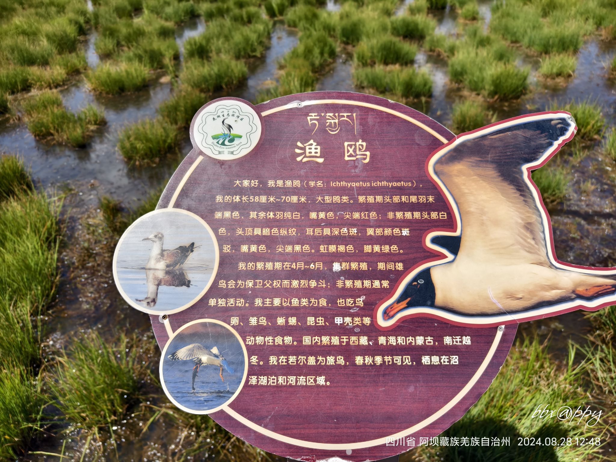 花湖生态旅游区旅行图片 2