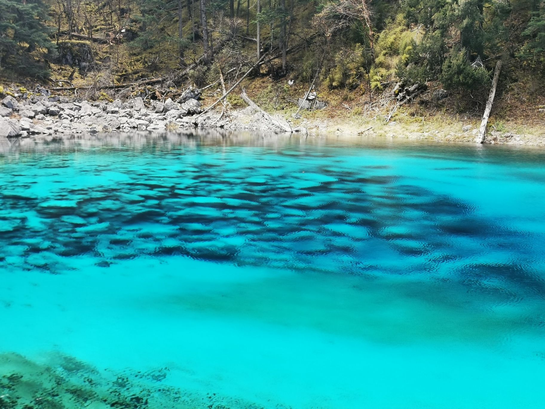 九寨马帮旅行图片
