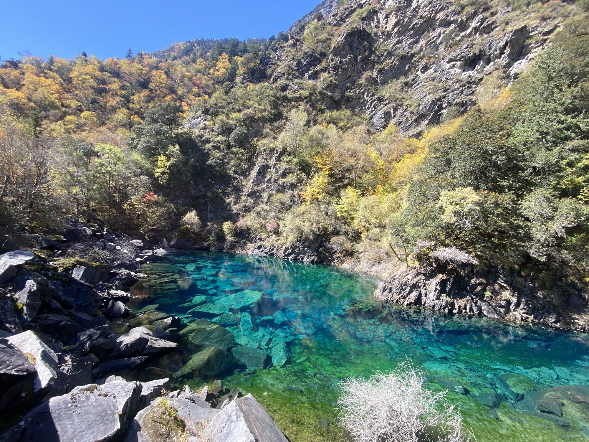 叠溪松坪沟景区旅行图片 2