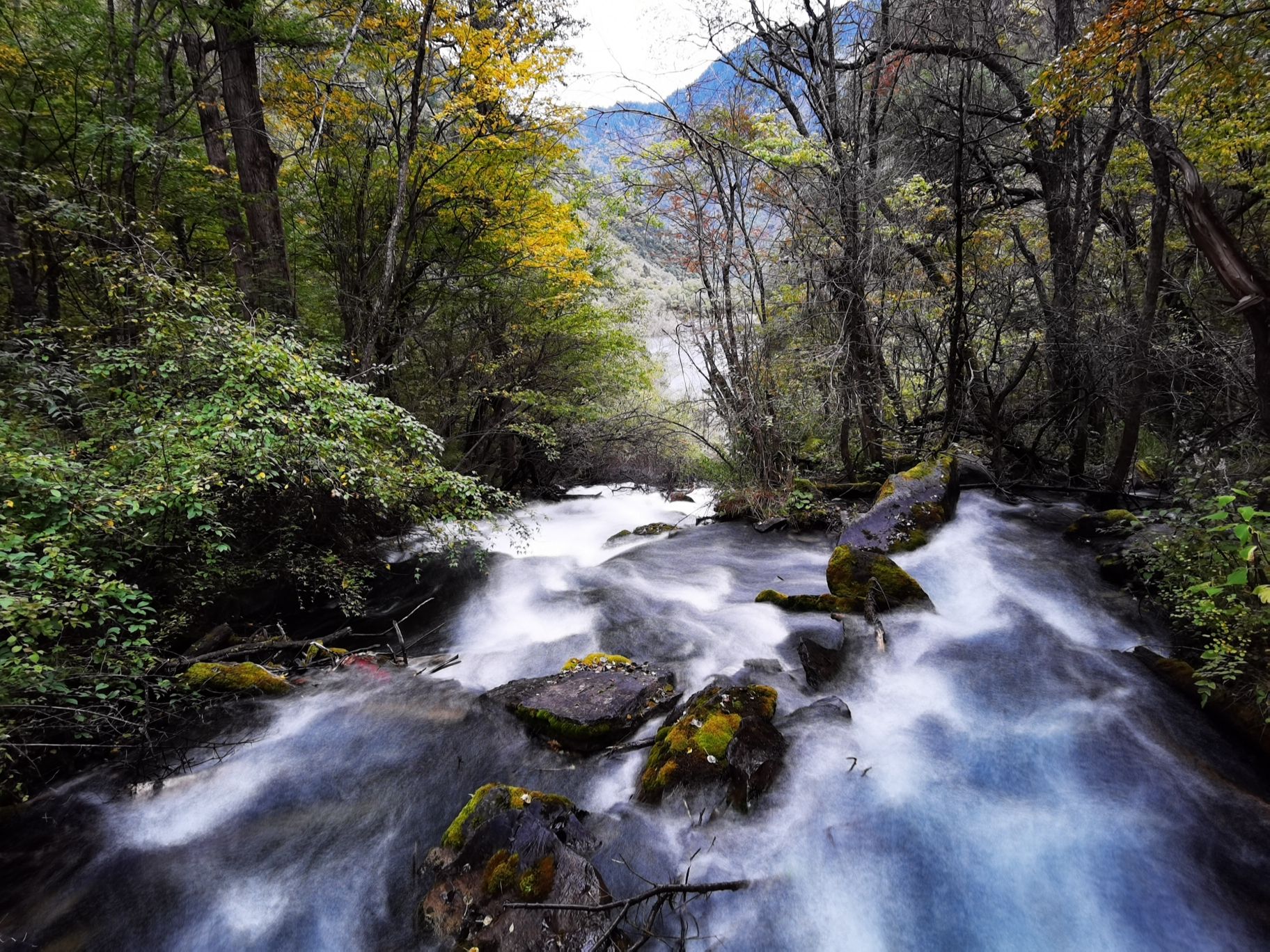 叠溪松坪沟景区旅行图片 3