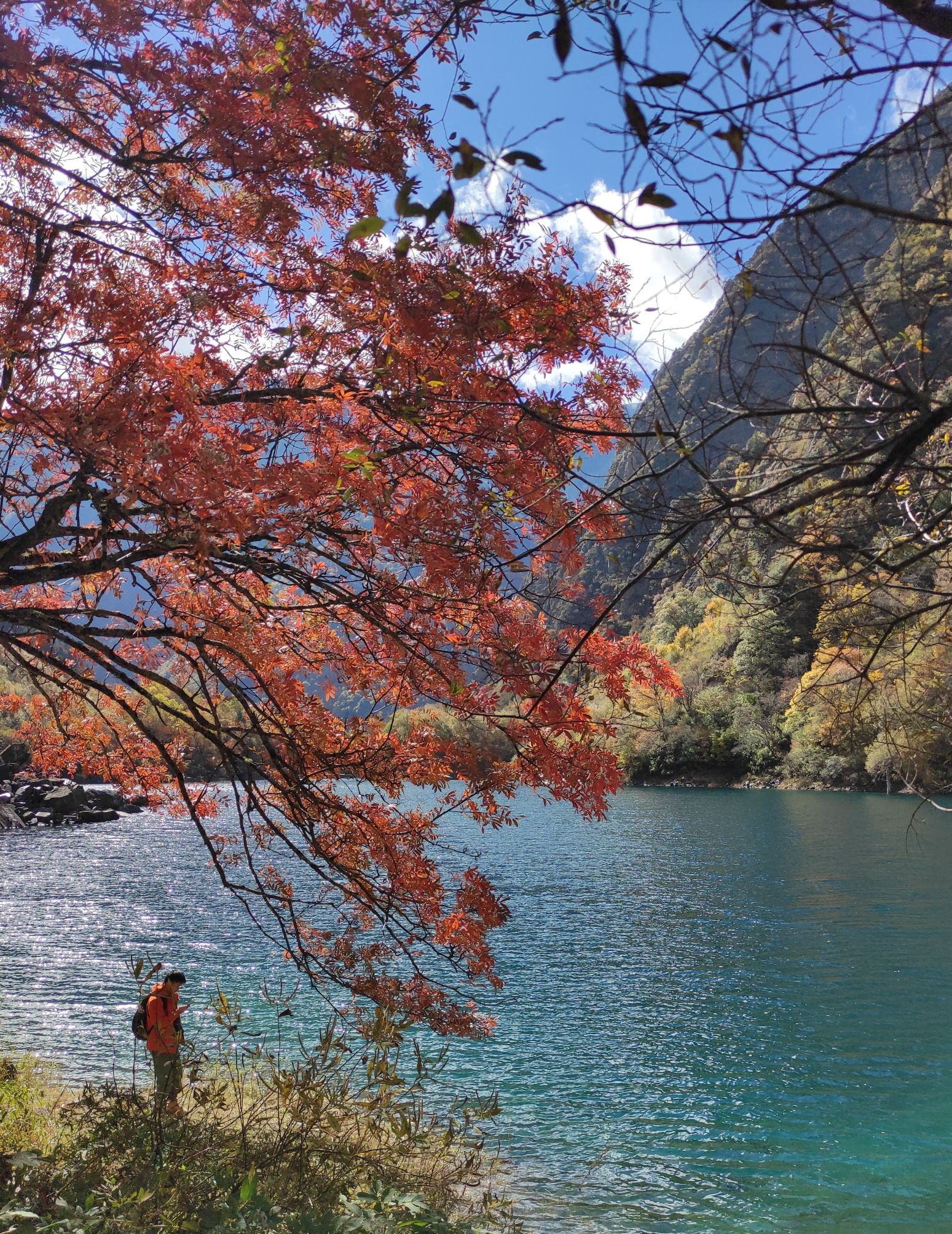 叠溪松坪沟景区旅行图片 3