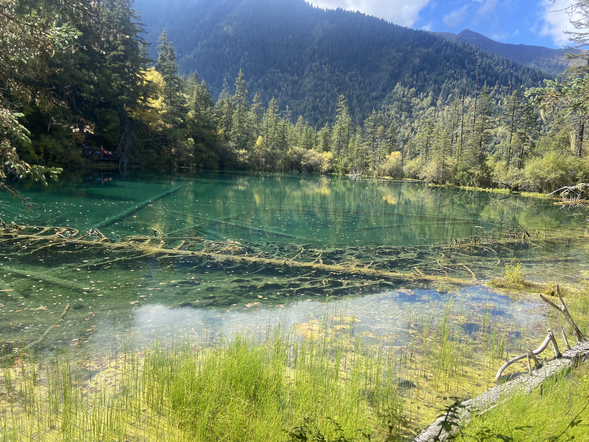 神仙池景区(暂停开放)旅行图片 3