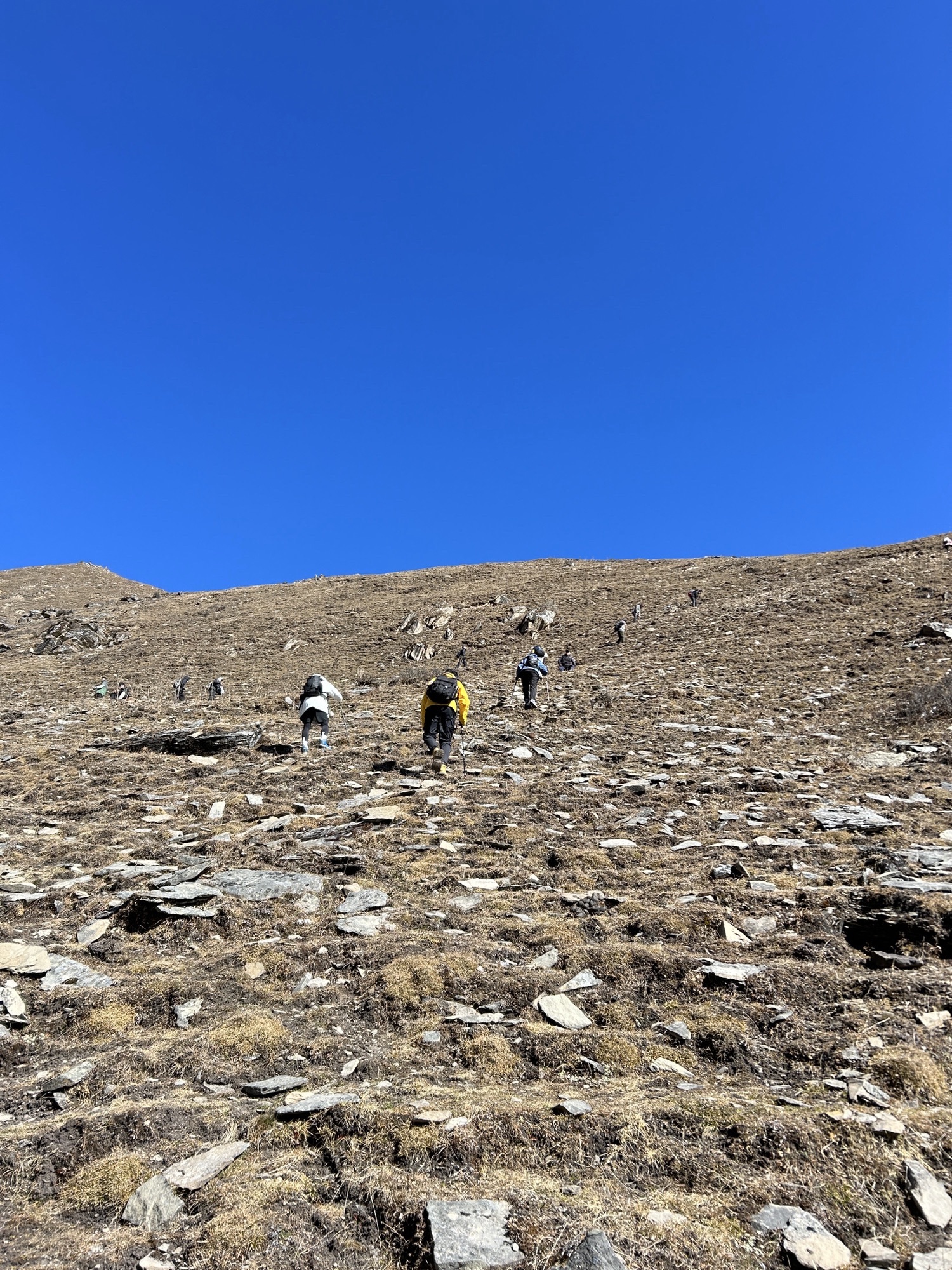 巴朗山熊猫王国之巅(暂停开放)旅行图片 3