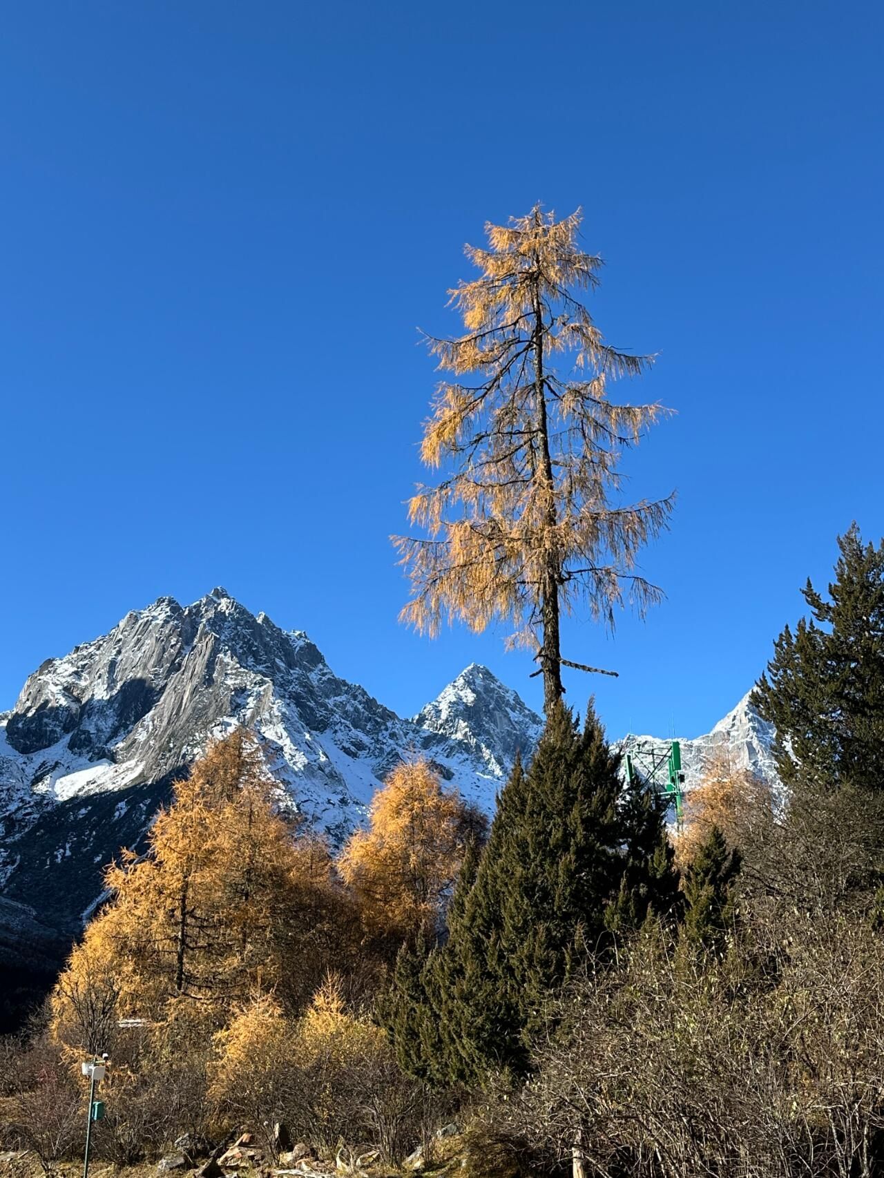甘堡藏寨旅行图片 2