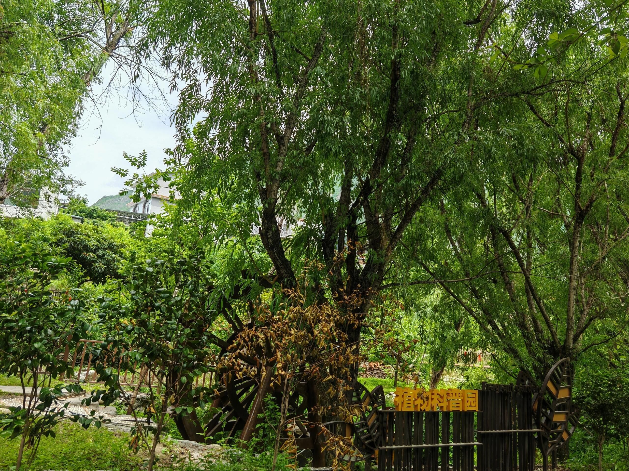 羌乡古寨牟托景区旅行图片 2
