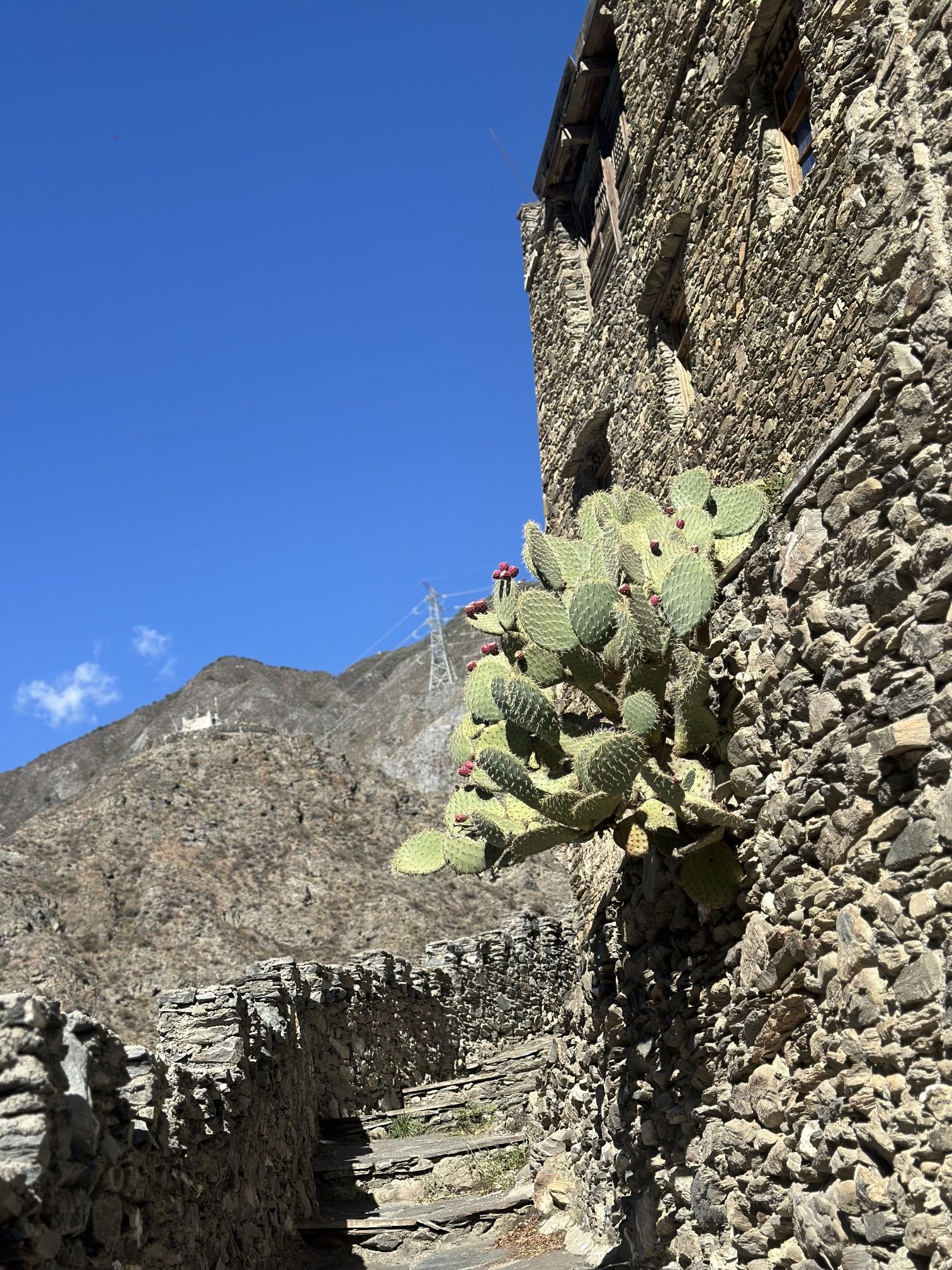 色尔古藏寨旅行图片 3