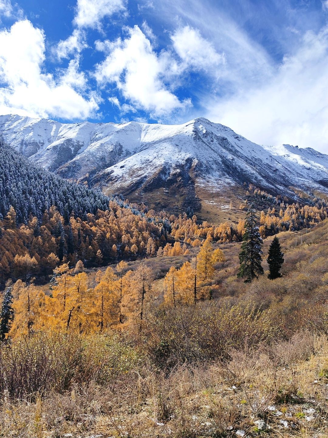 雅克夏雪山旅行图片 2