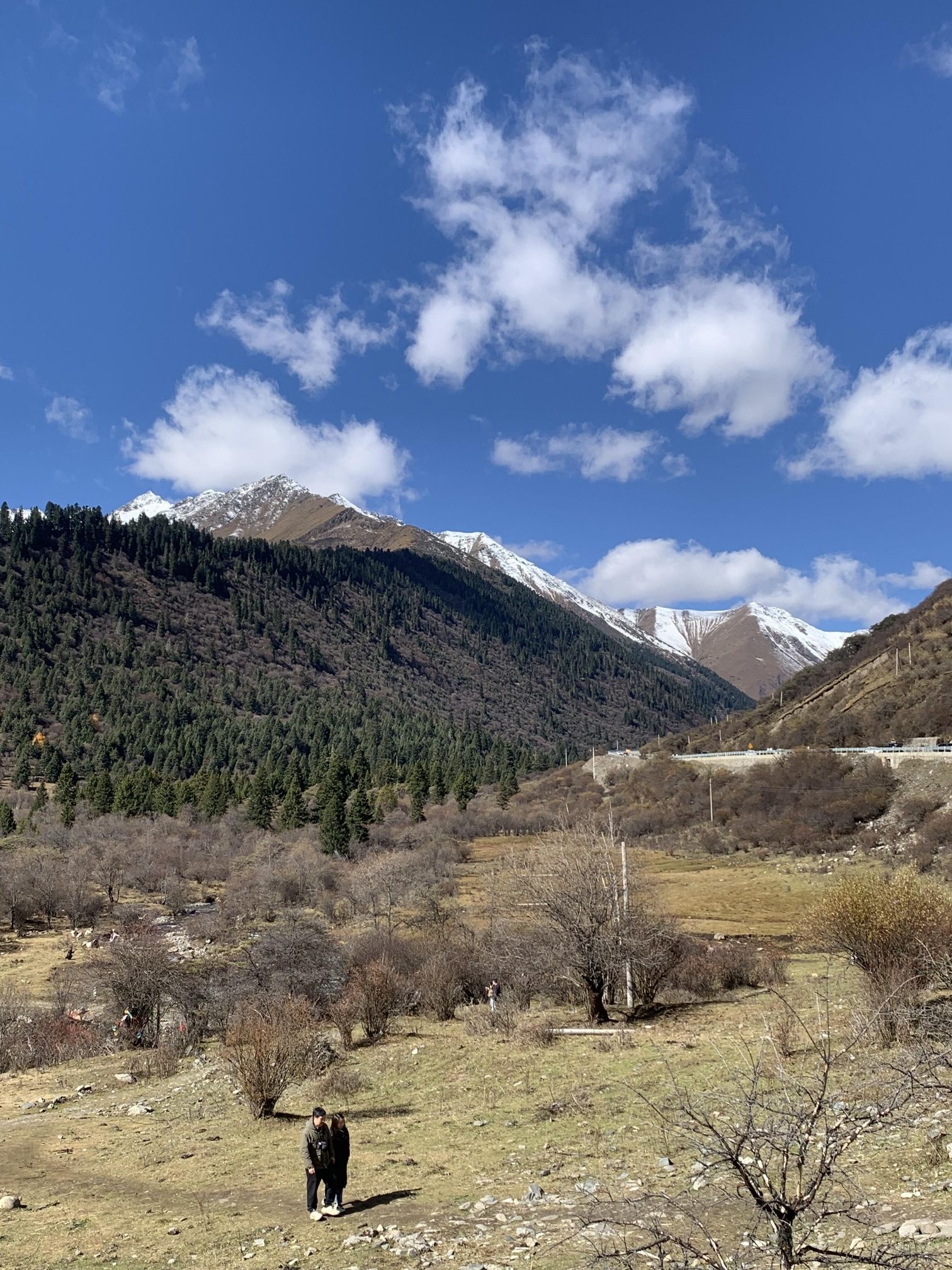 雅克夏雪山旅行图片 3