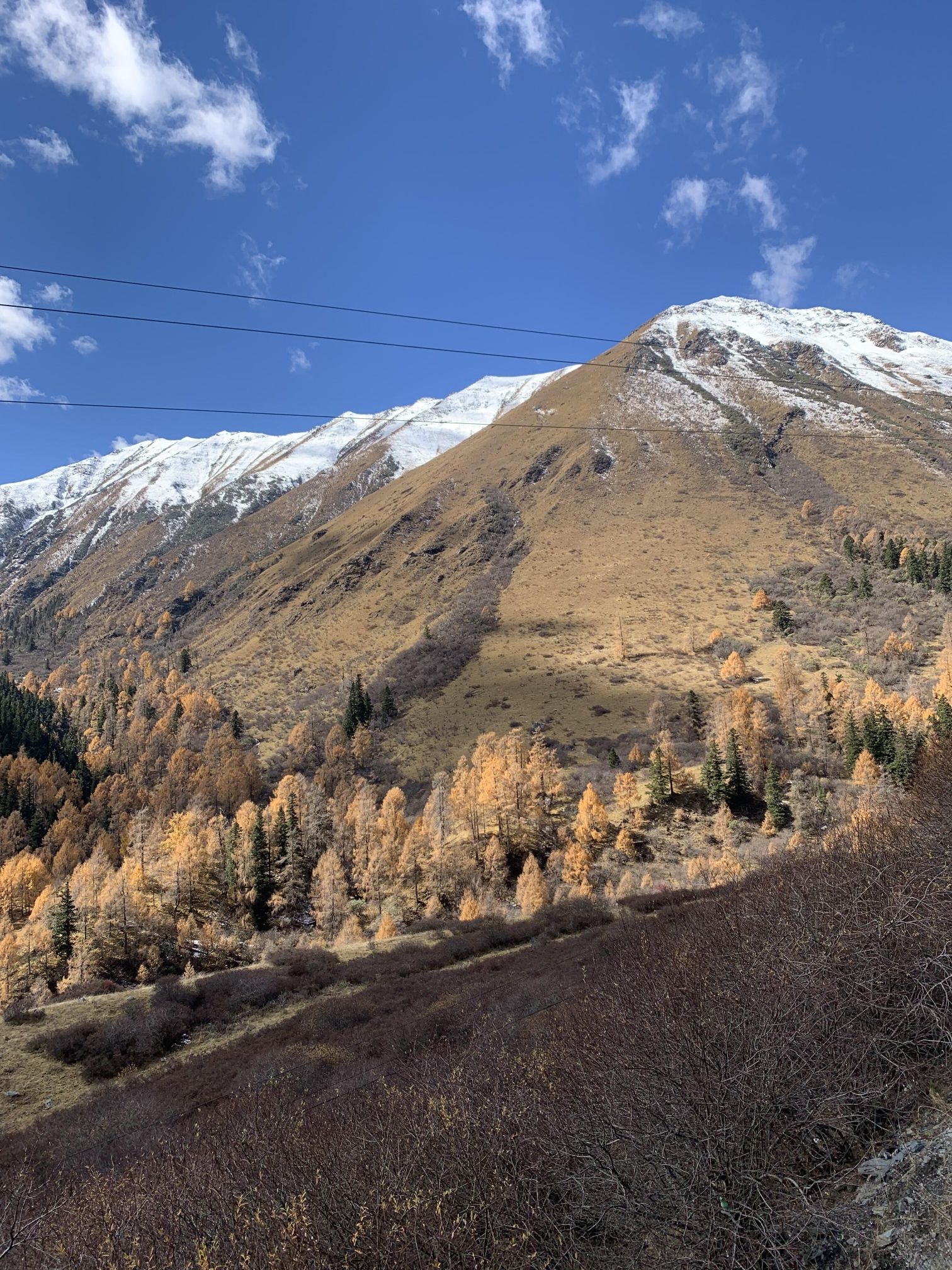 雅克夏雪山旅行图片 2