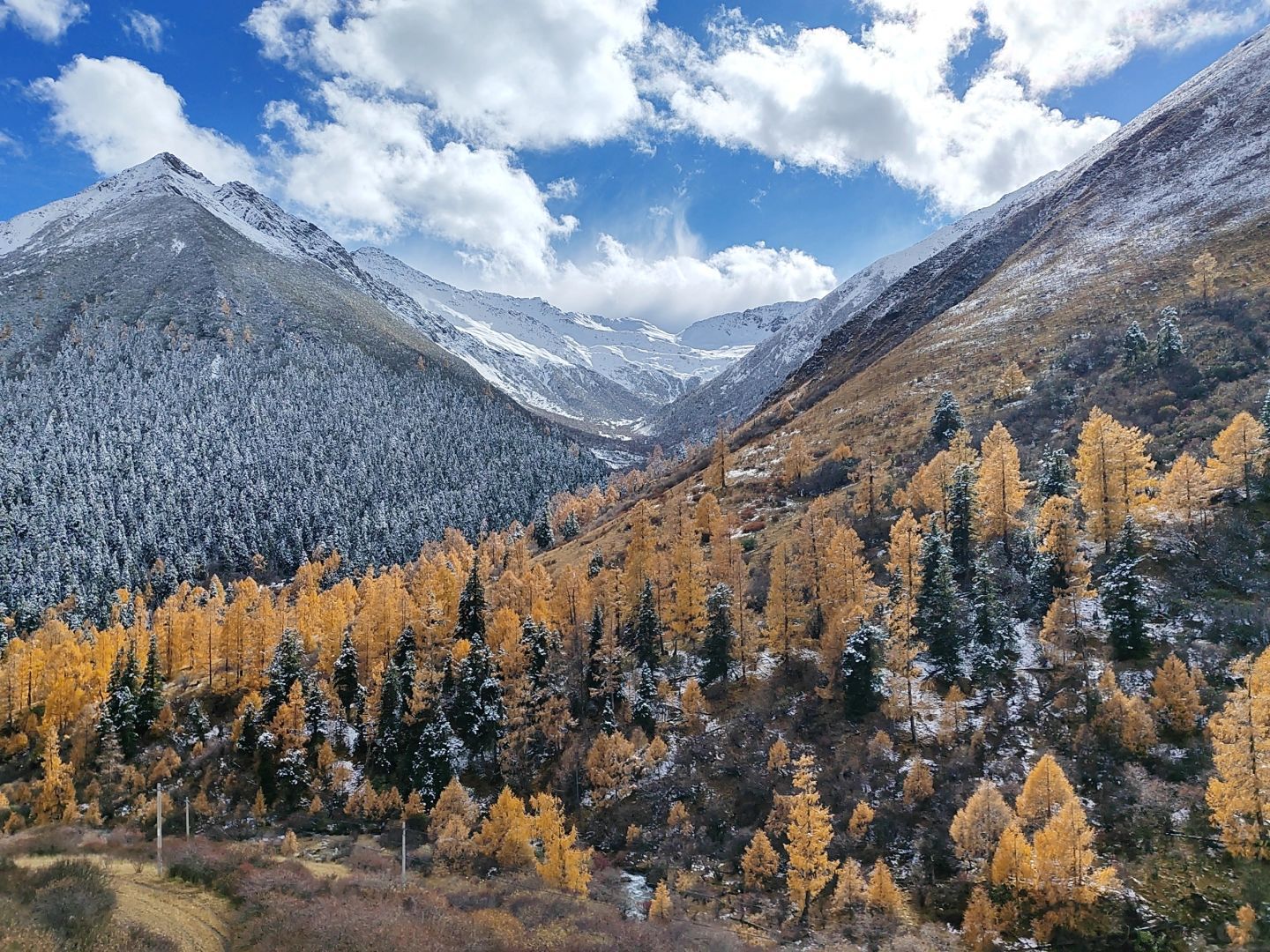 雅克夏雪山旅行图片 3