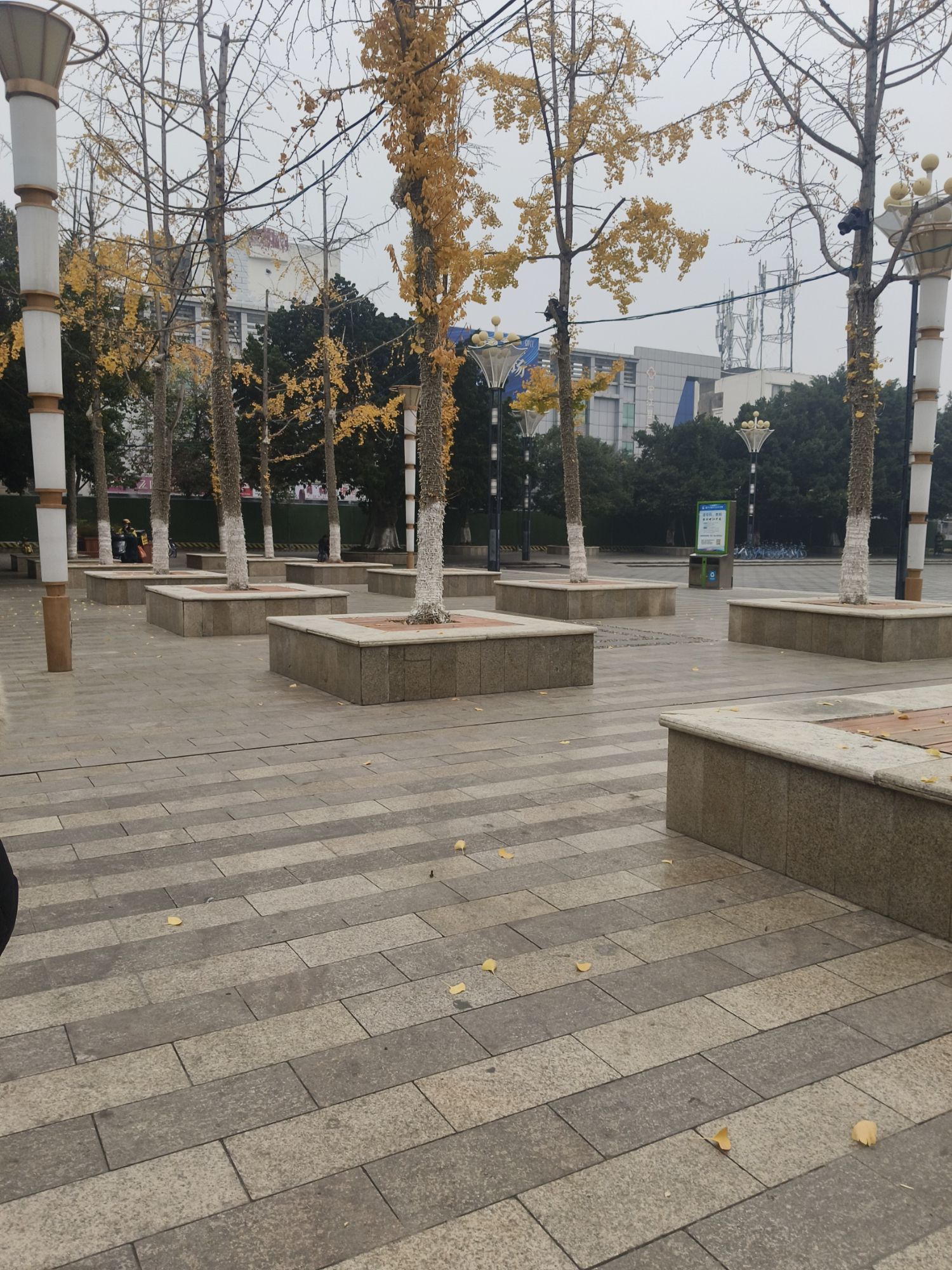 中江公园旅行图片 3