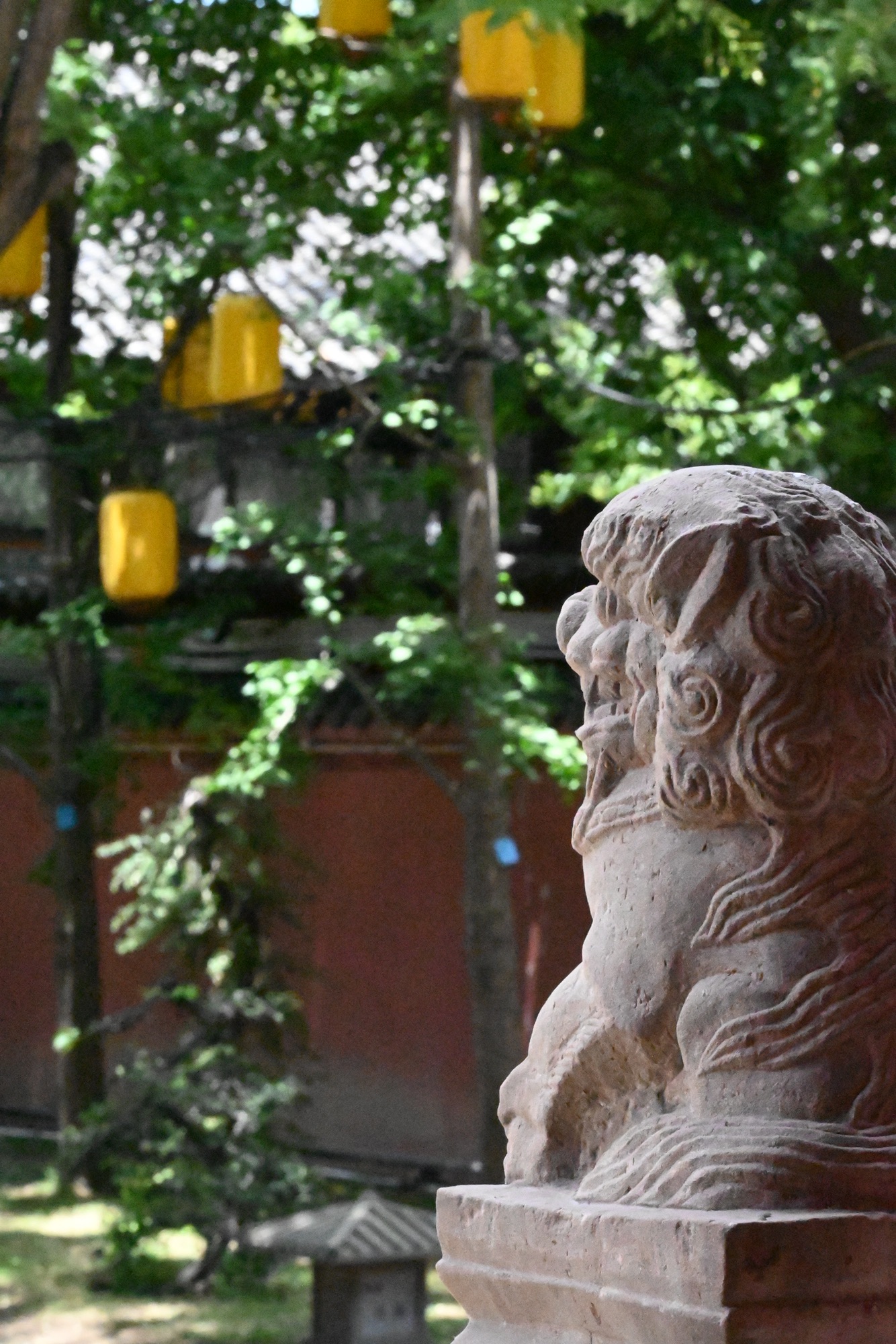 德阳文庙广场旅行图片 3
