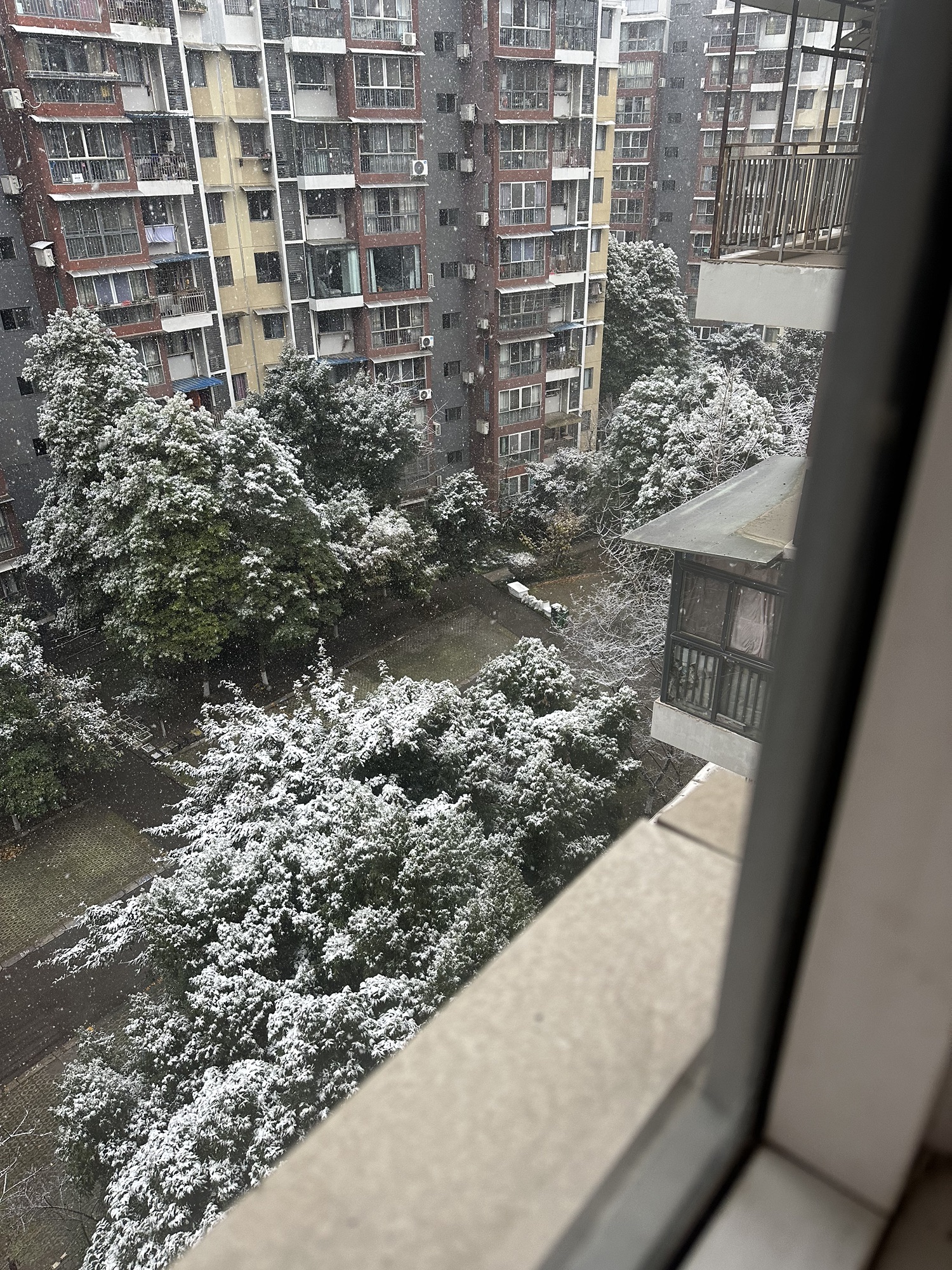 德阳文庙广场旅行图片 3