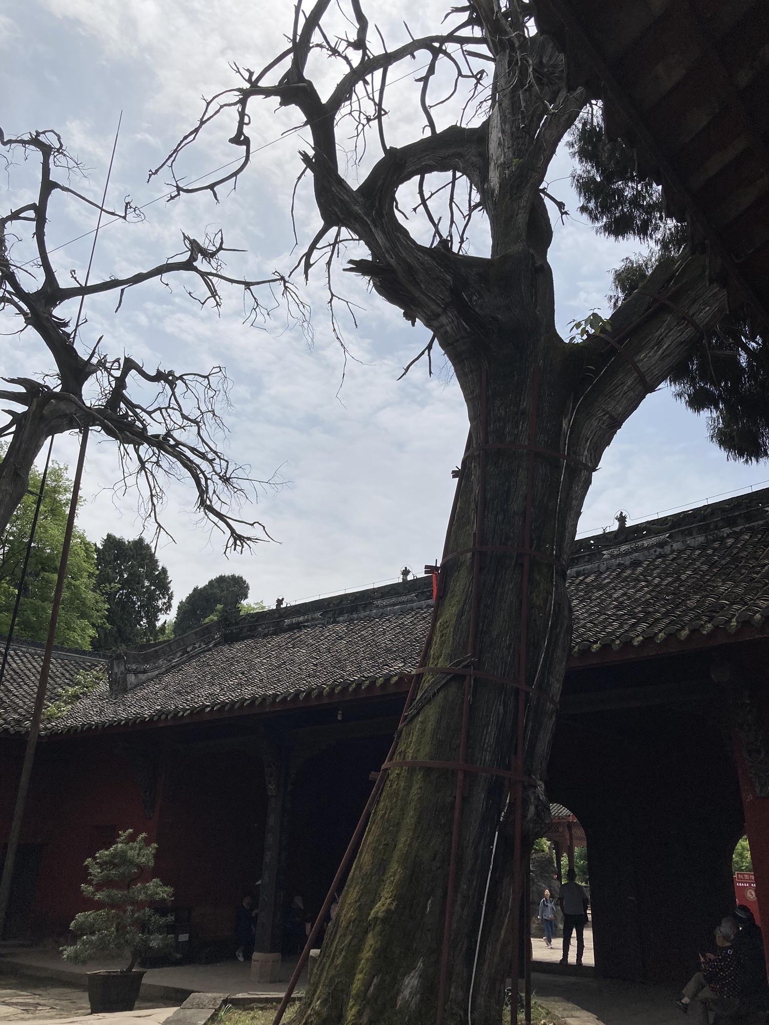 白马关景区旅行图片 2