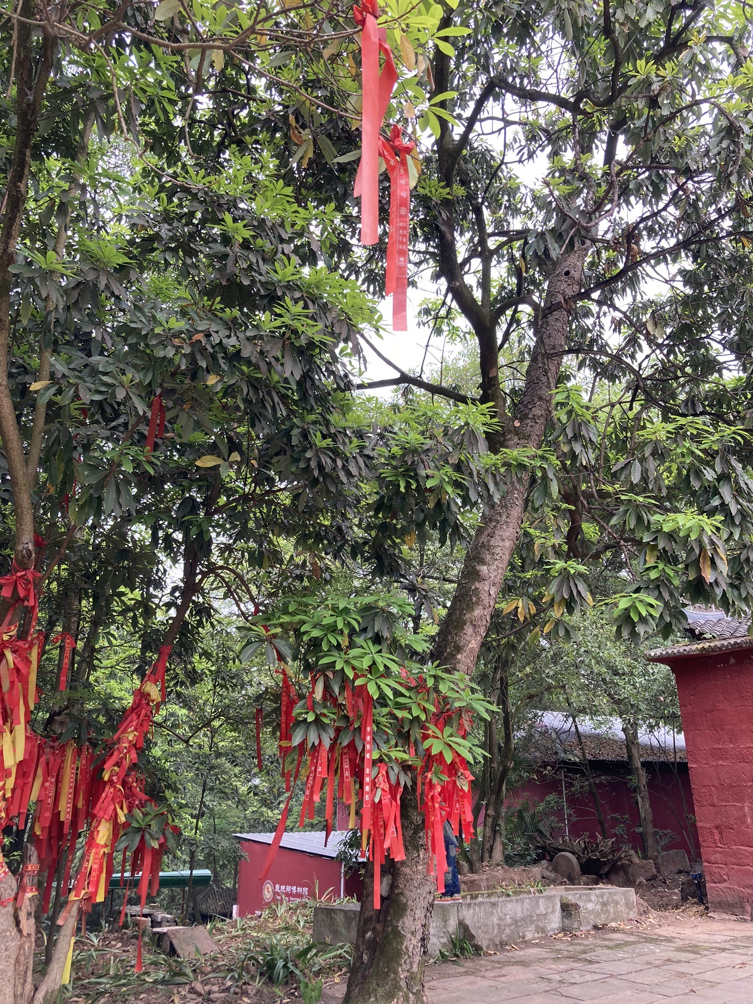 白马关景区旅行图片 3