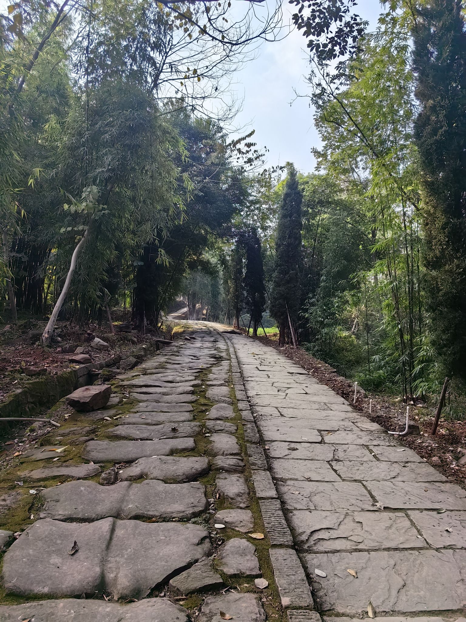 白马关景区旅行图片 1