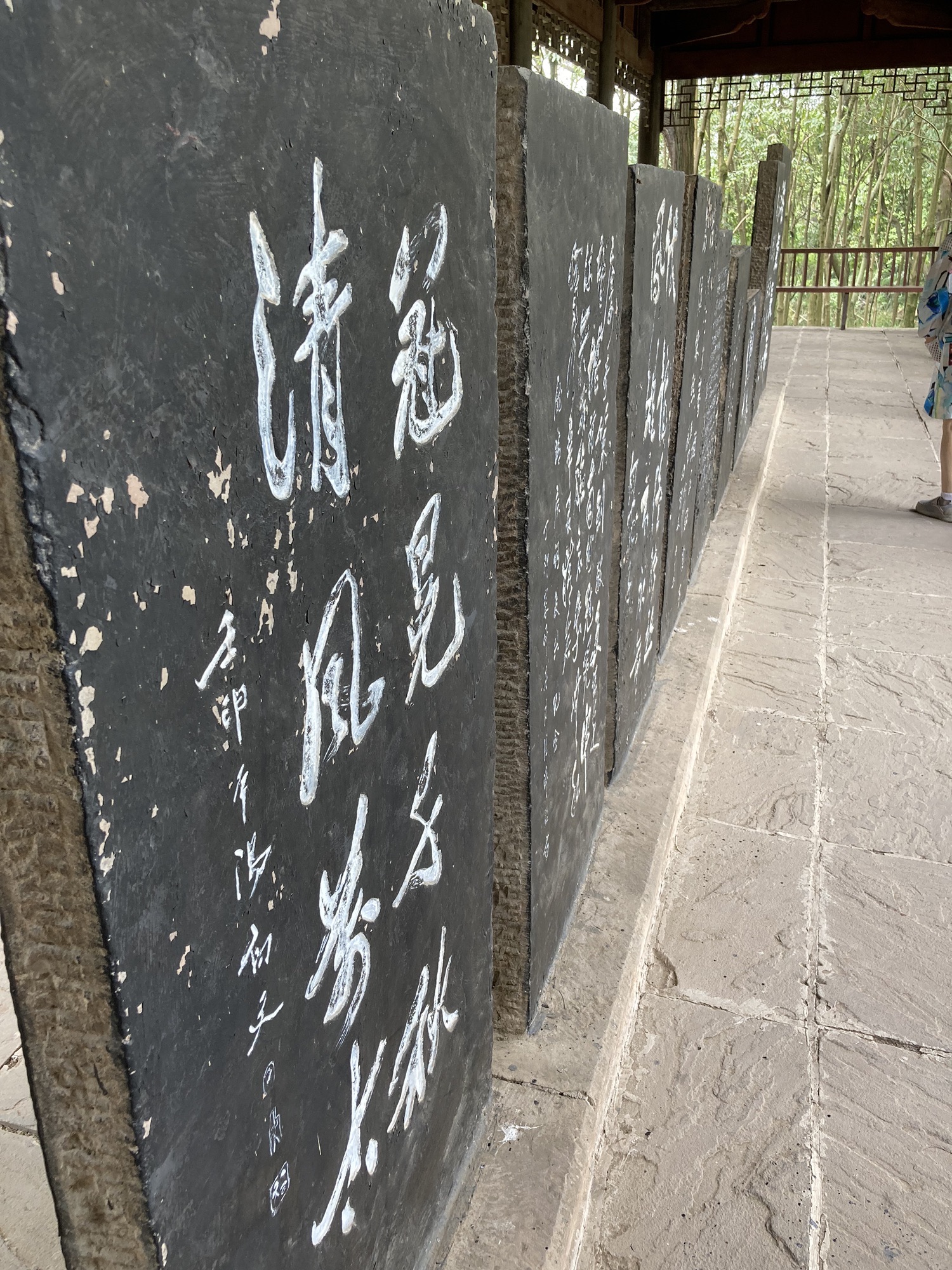 白马关景区旅行图片 1