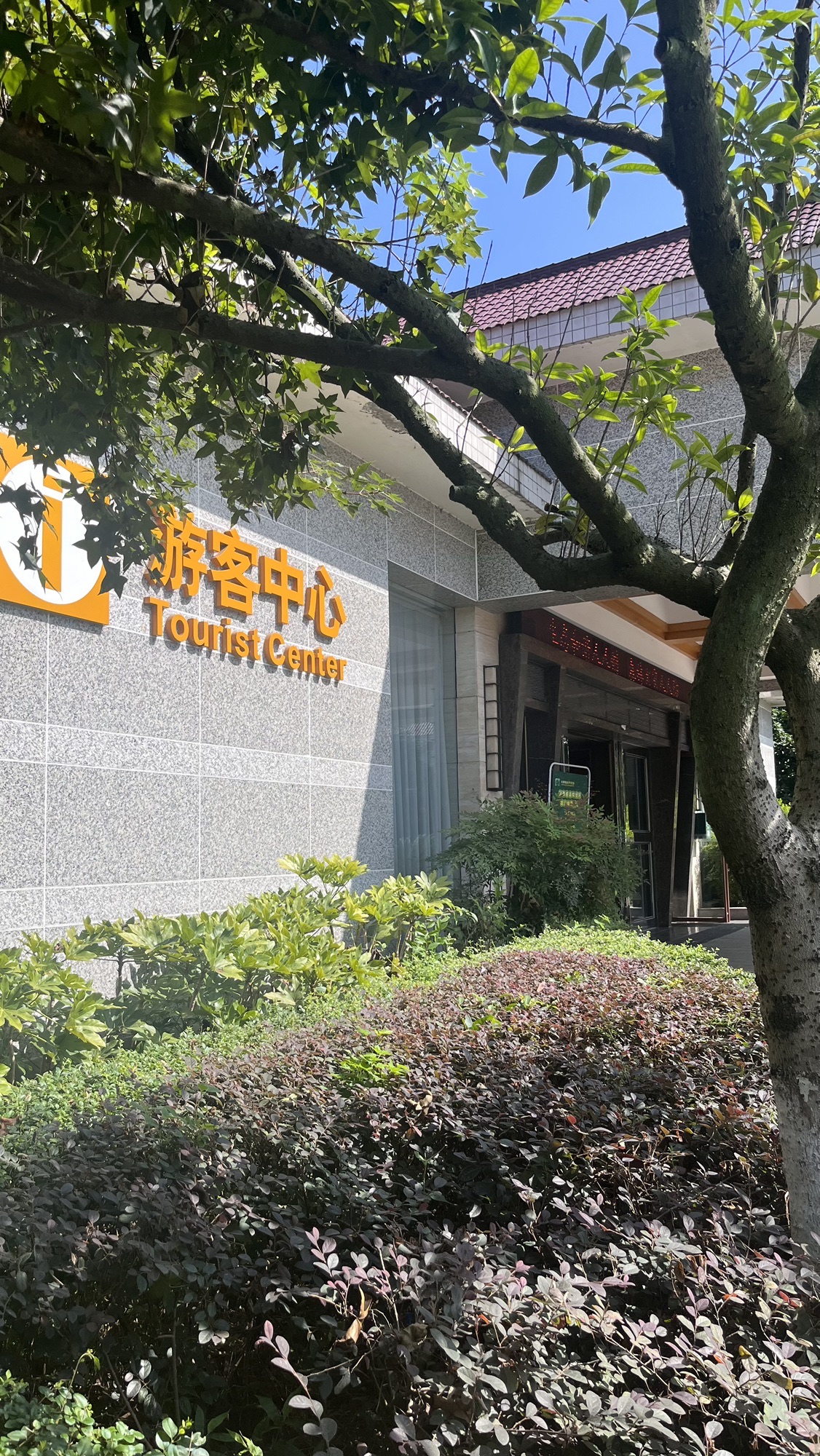 剑南春森林公园旅行图片 1