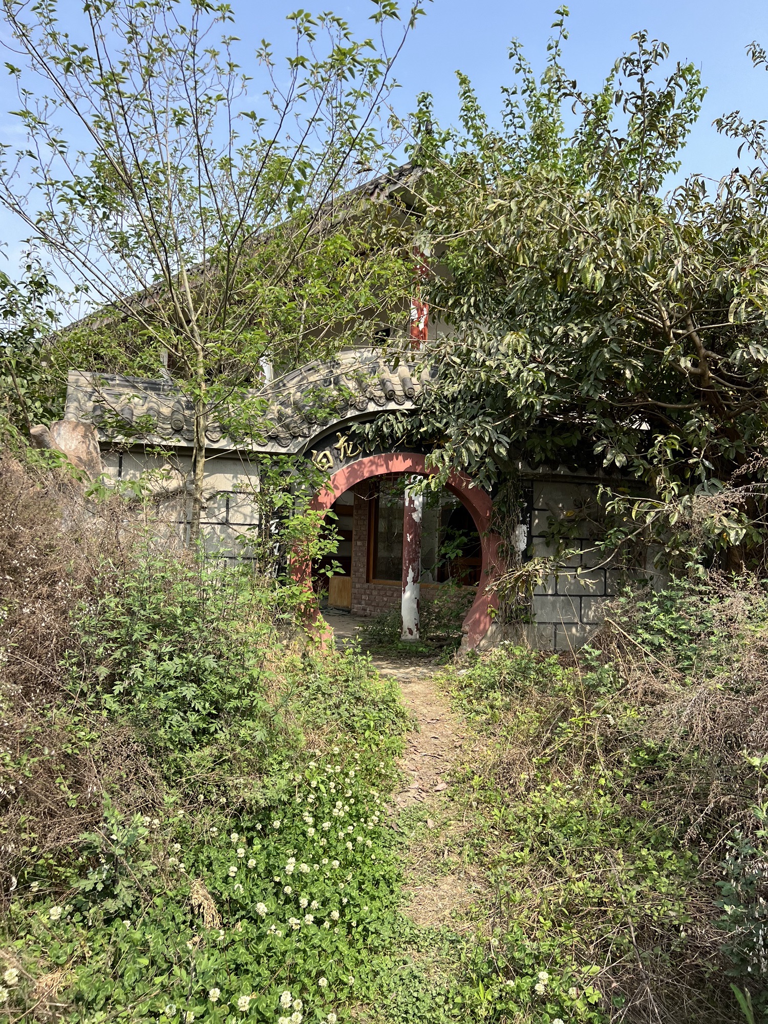 卯楼居旅行图片 2