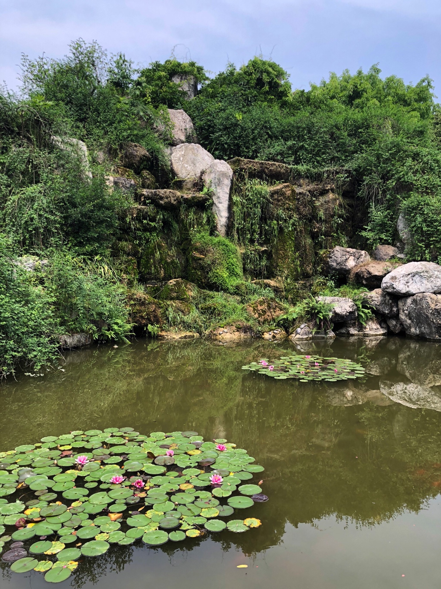 人民公园旅行图片 2