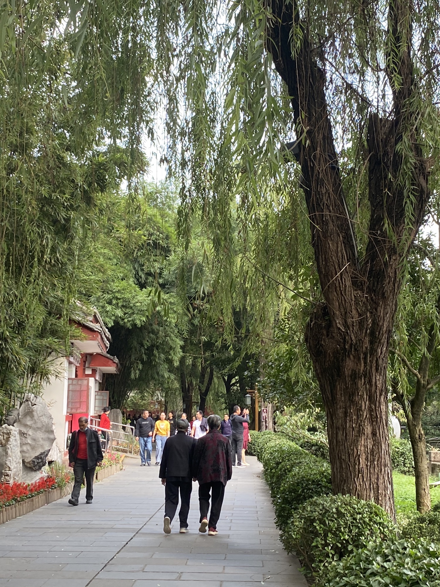 房湖公园旅行图片 1